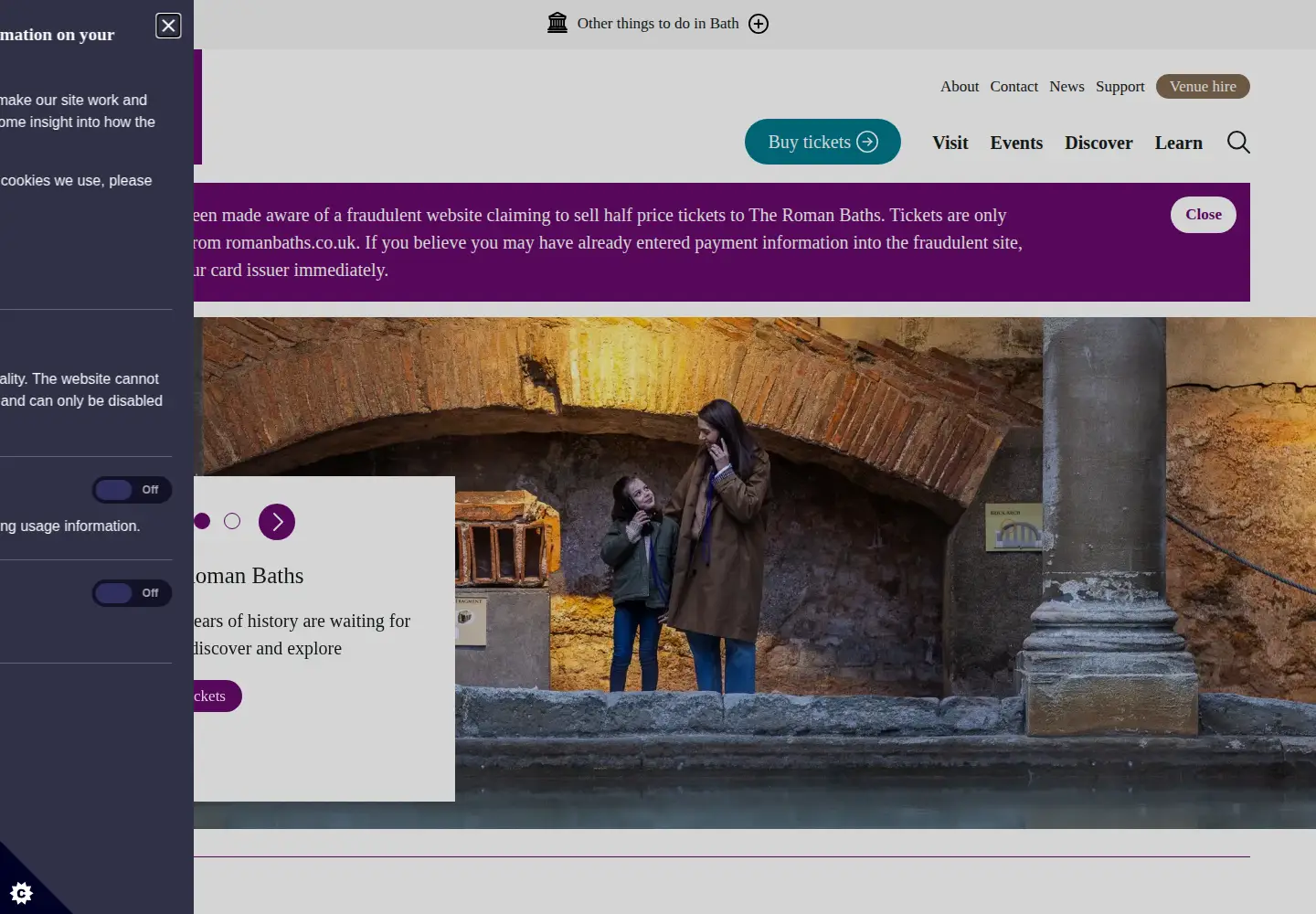 Screenshot of romanbaths.co.uk