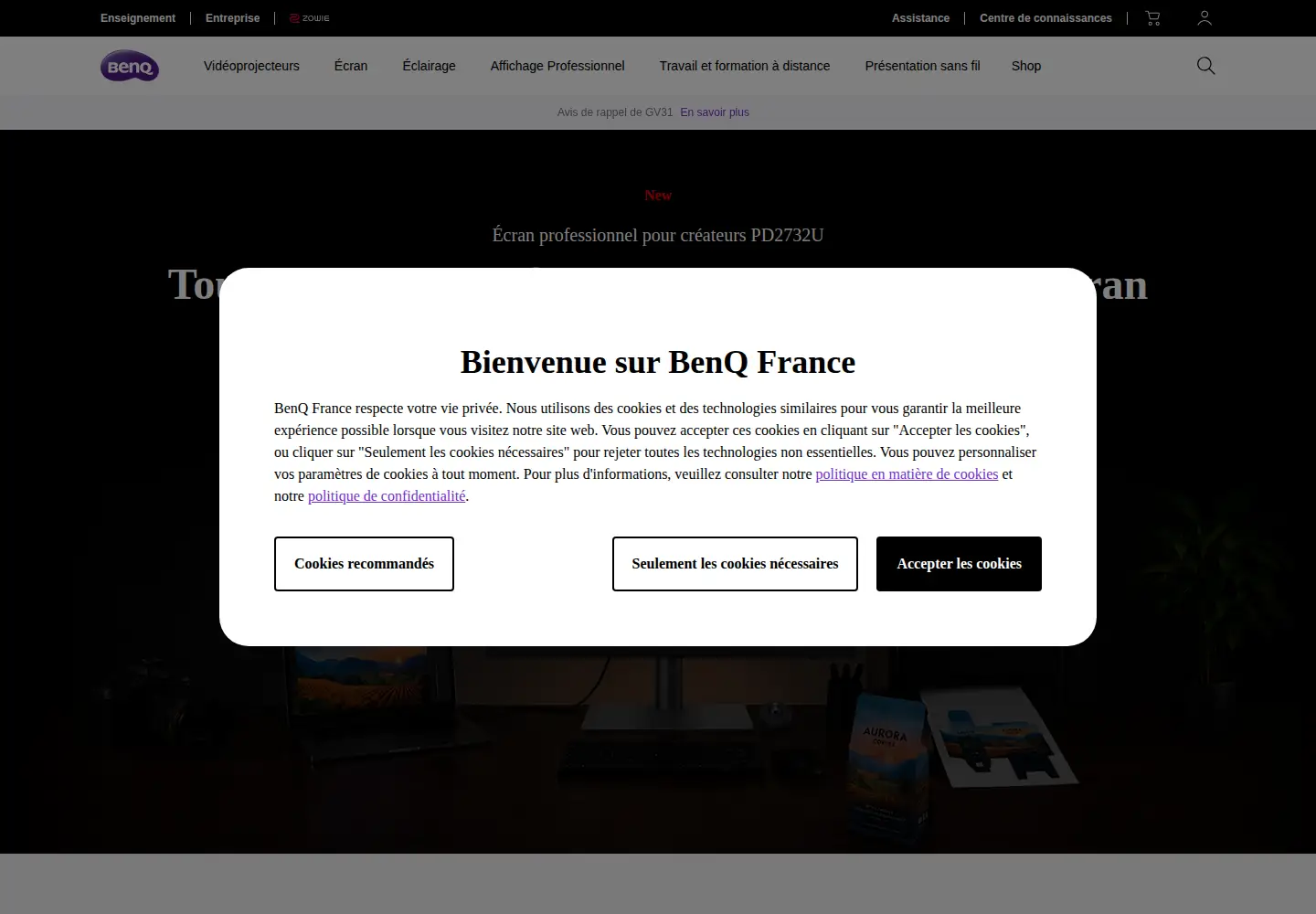 Captured homepage of benq.eu in the current scan
