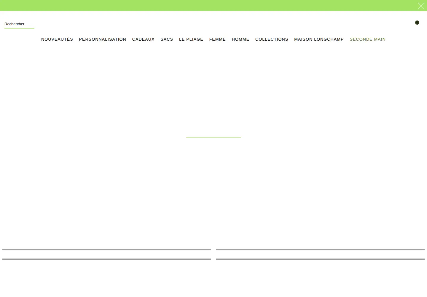 Captured homepage of longchamp.com in the current scan