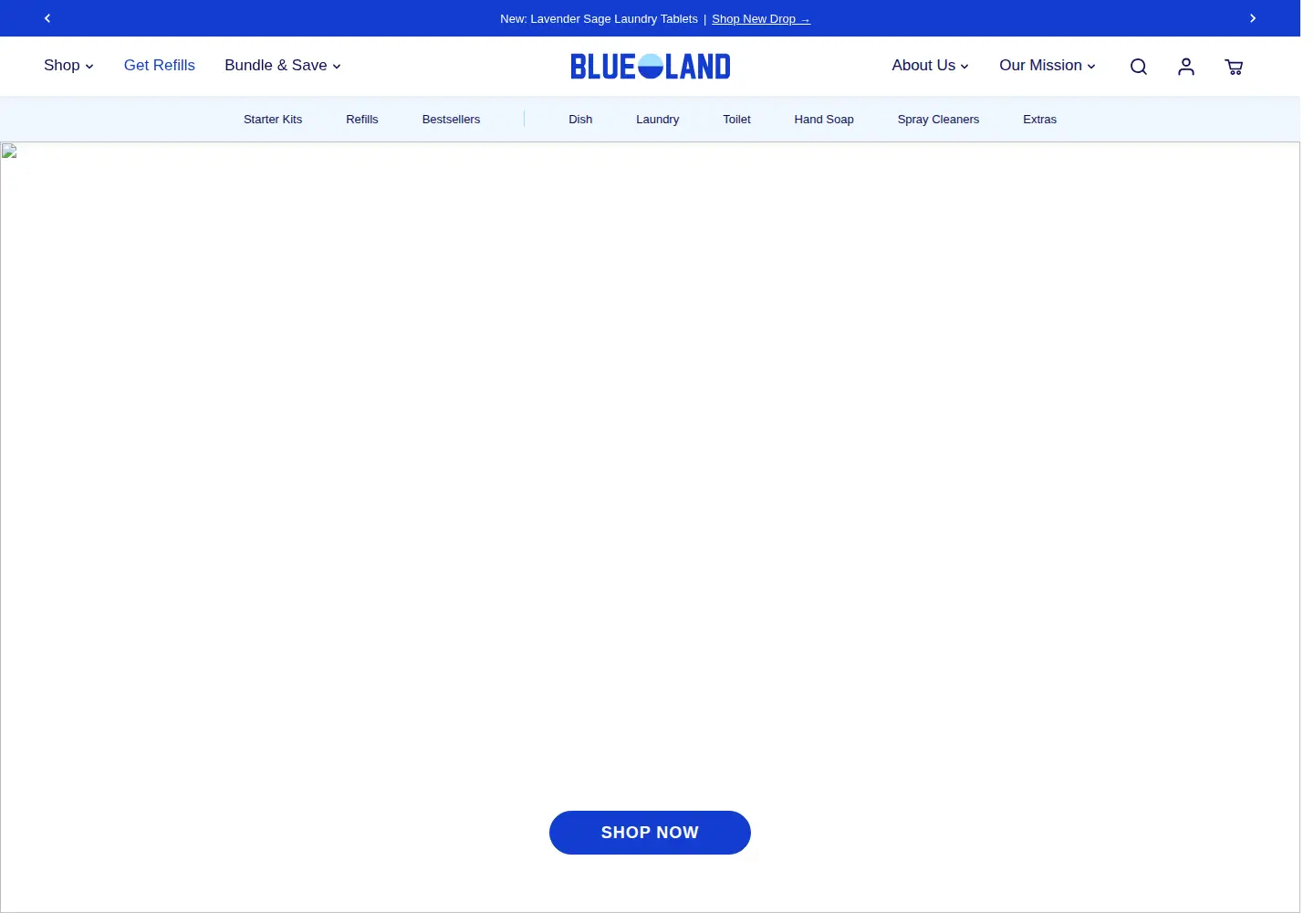 Captured homepage of blueland.com in the current scan
