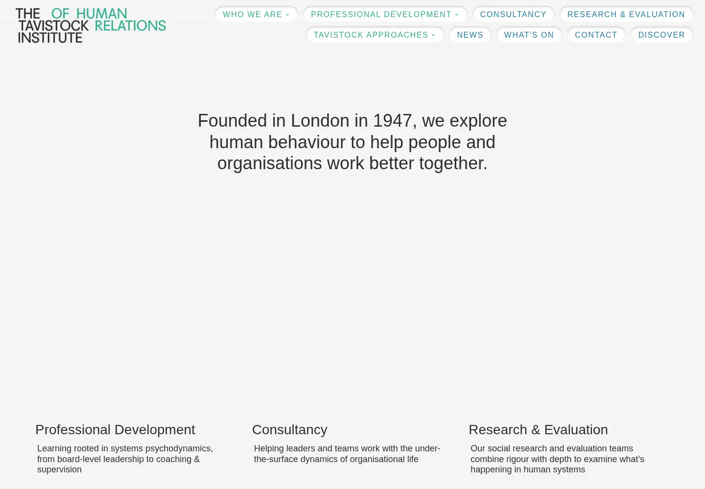 Captured homepage of tavinstitute.org in the current scan