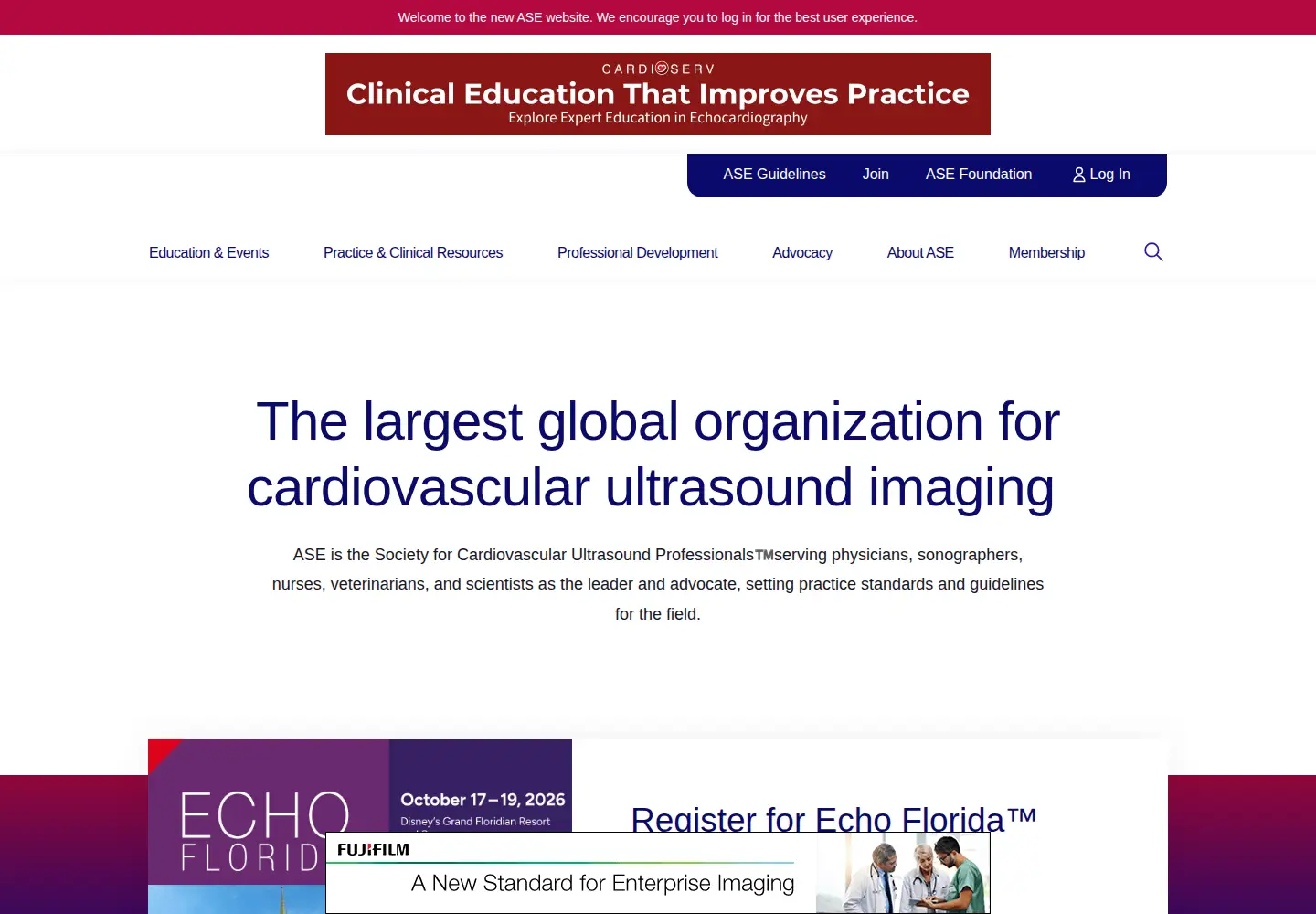 Screenshot of asecho.org