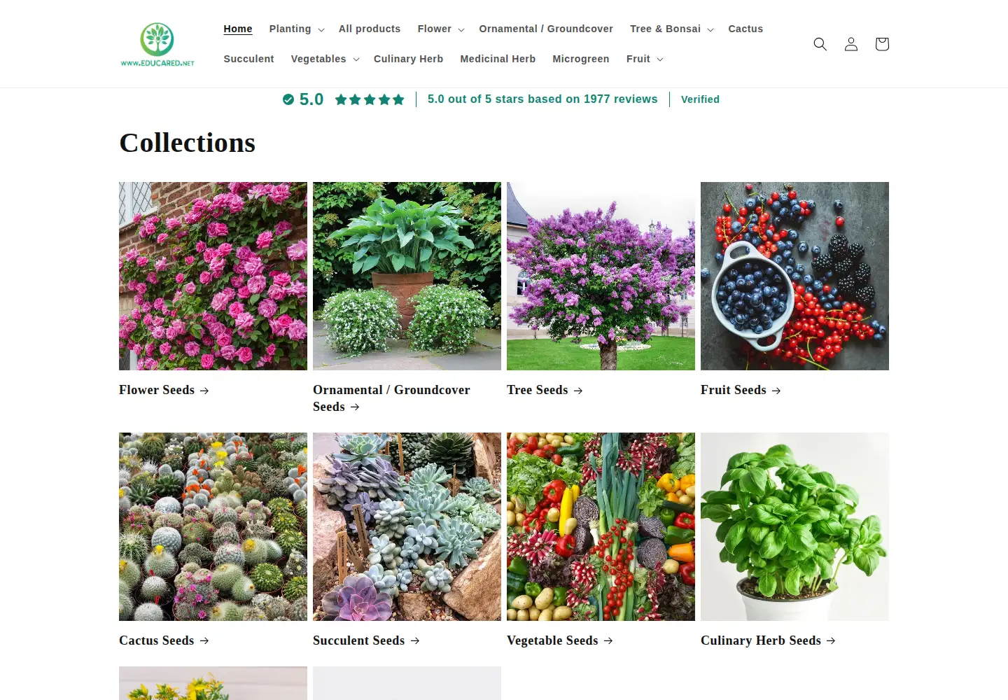 Screenshot of educared.net
