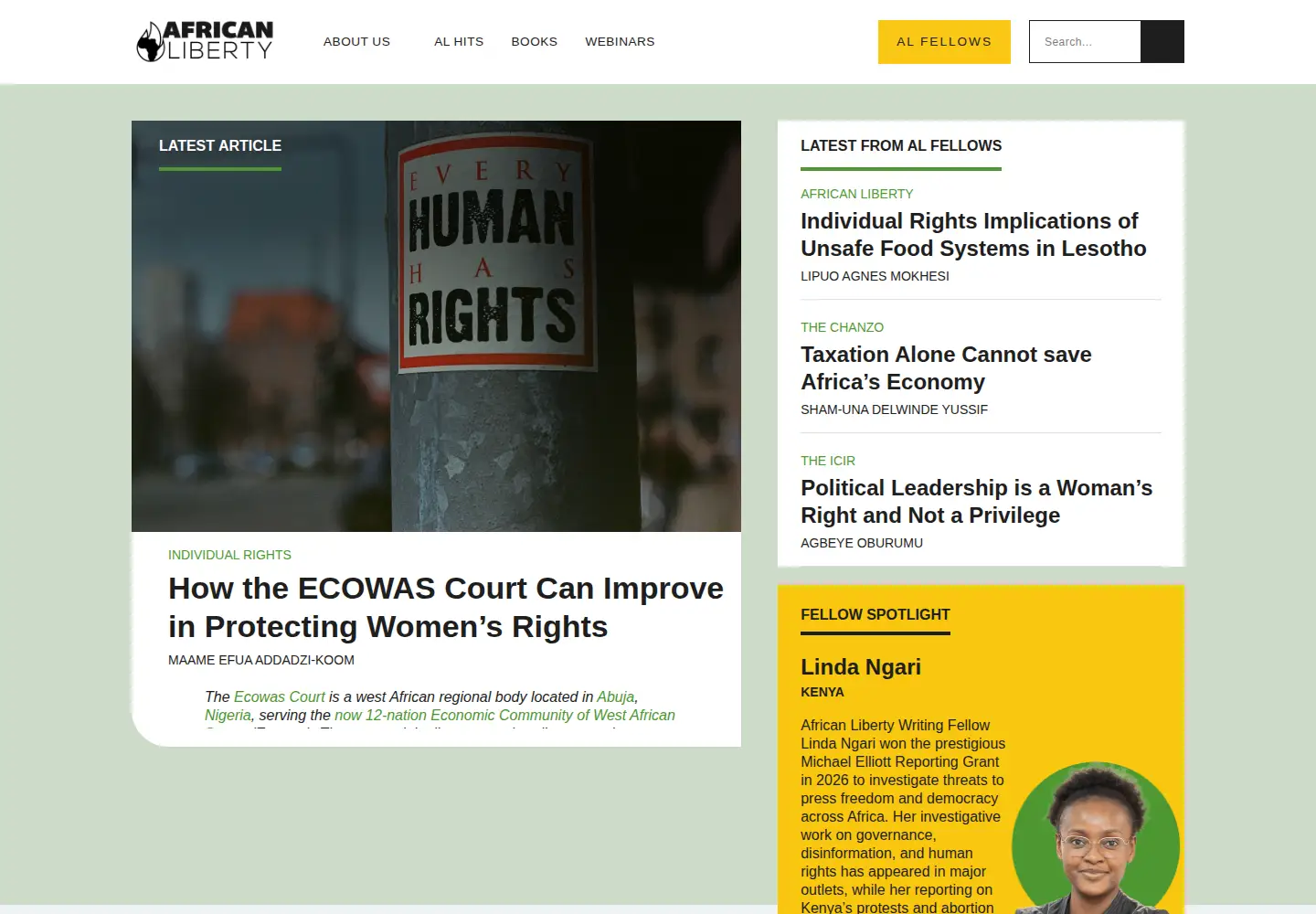 Captured homepage of africanliberty.org in the current scan