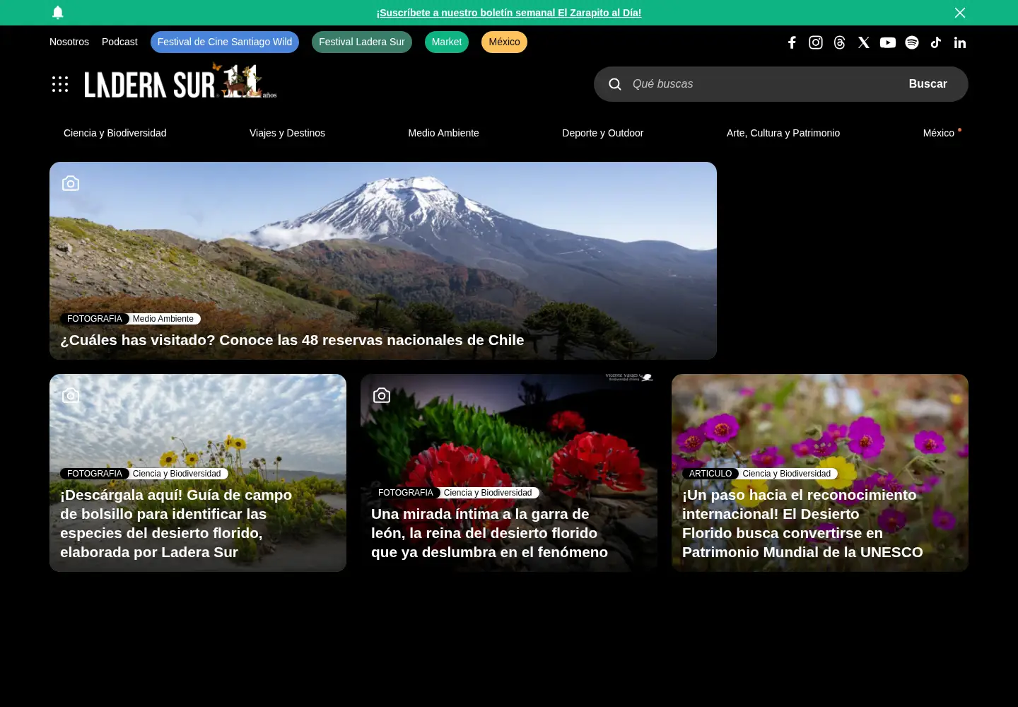Screenshot of laderasur.com
