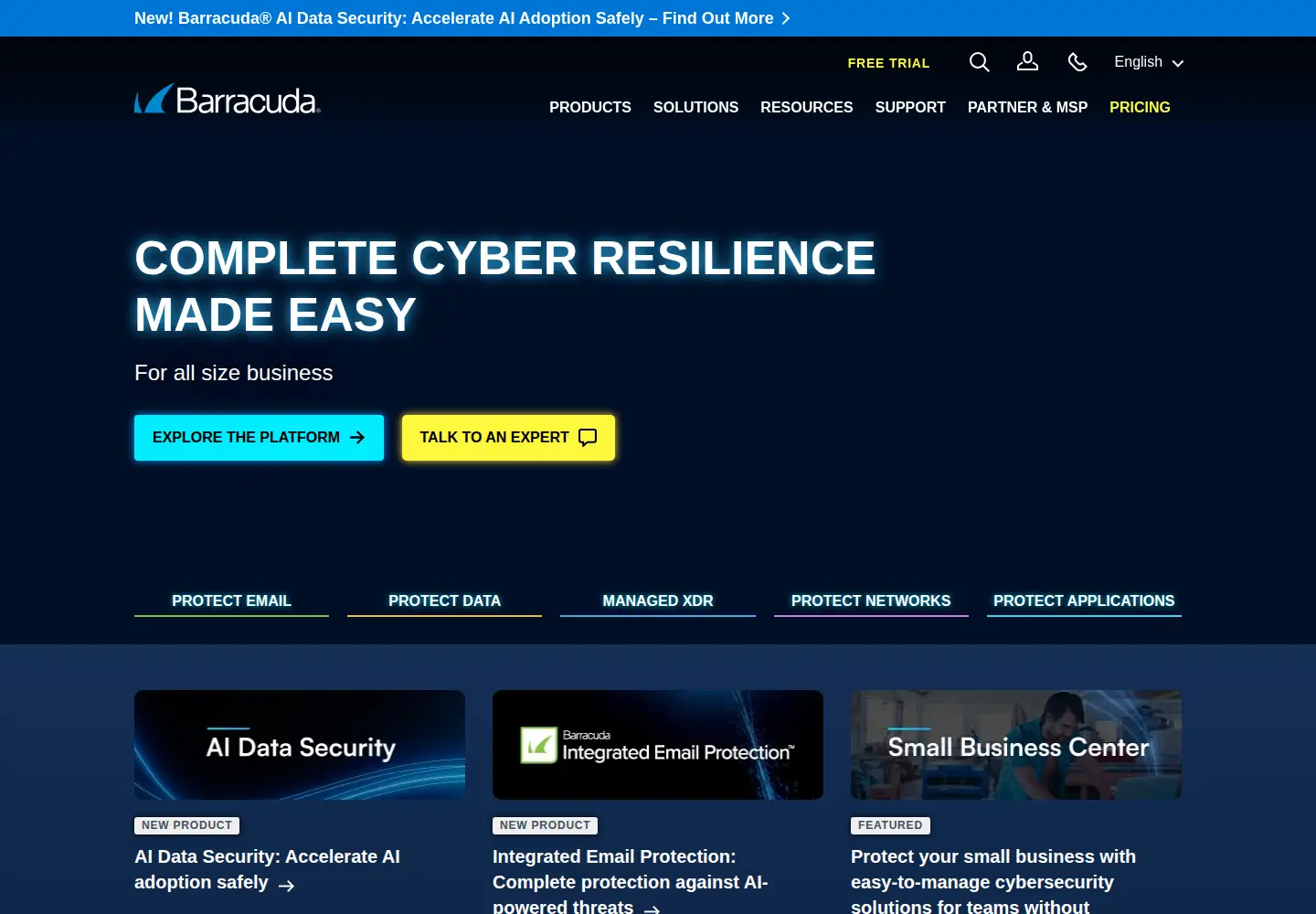 Captured homepage of barracudanetworks.com in the current scan