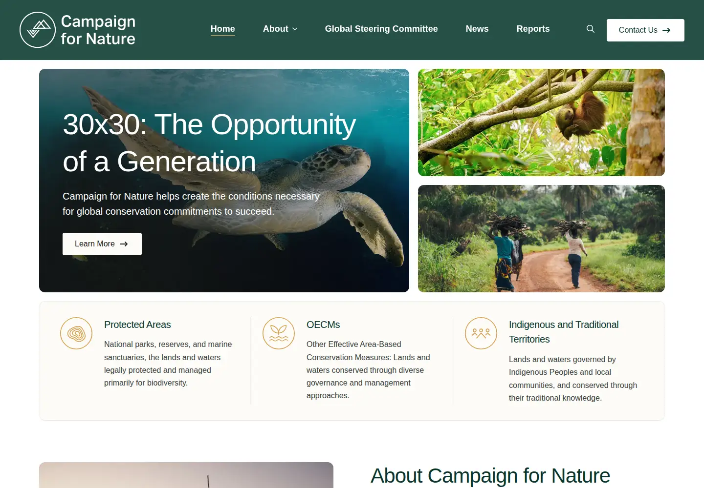 Captured homepage of campaignfornature.org in the current scan