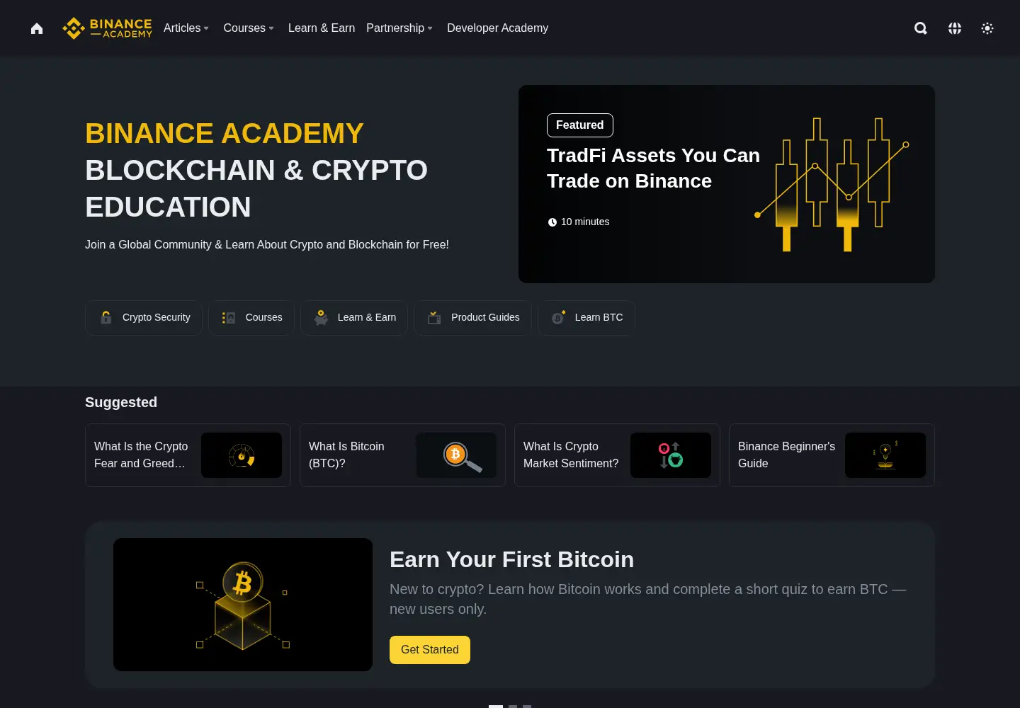 Captured homepage of binance.vision in the current scan