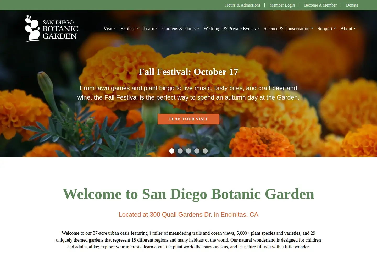 Screenshot of sdbg.org