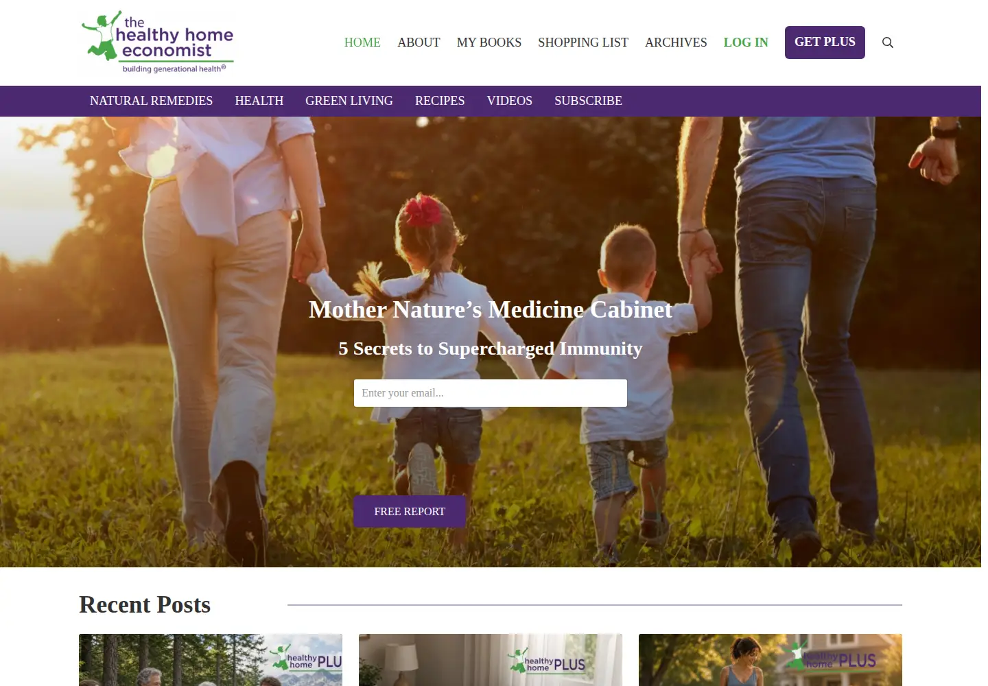 Screenshot of thehealthyhomeeconomist.com