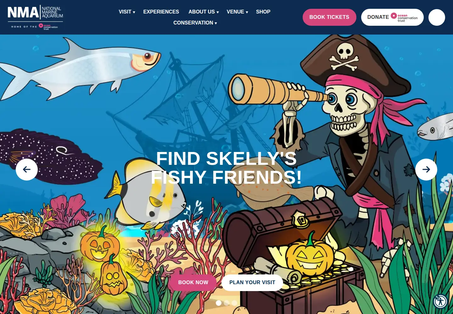 Captured homepage of national-aquarium.co.uk in the current scan