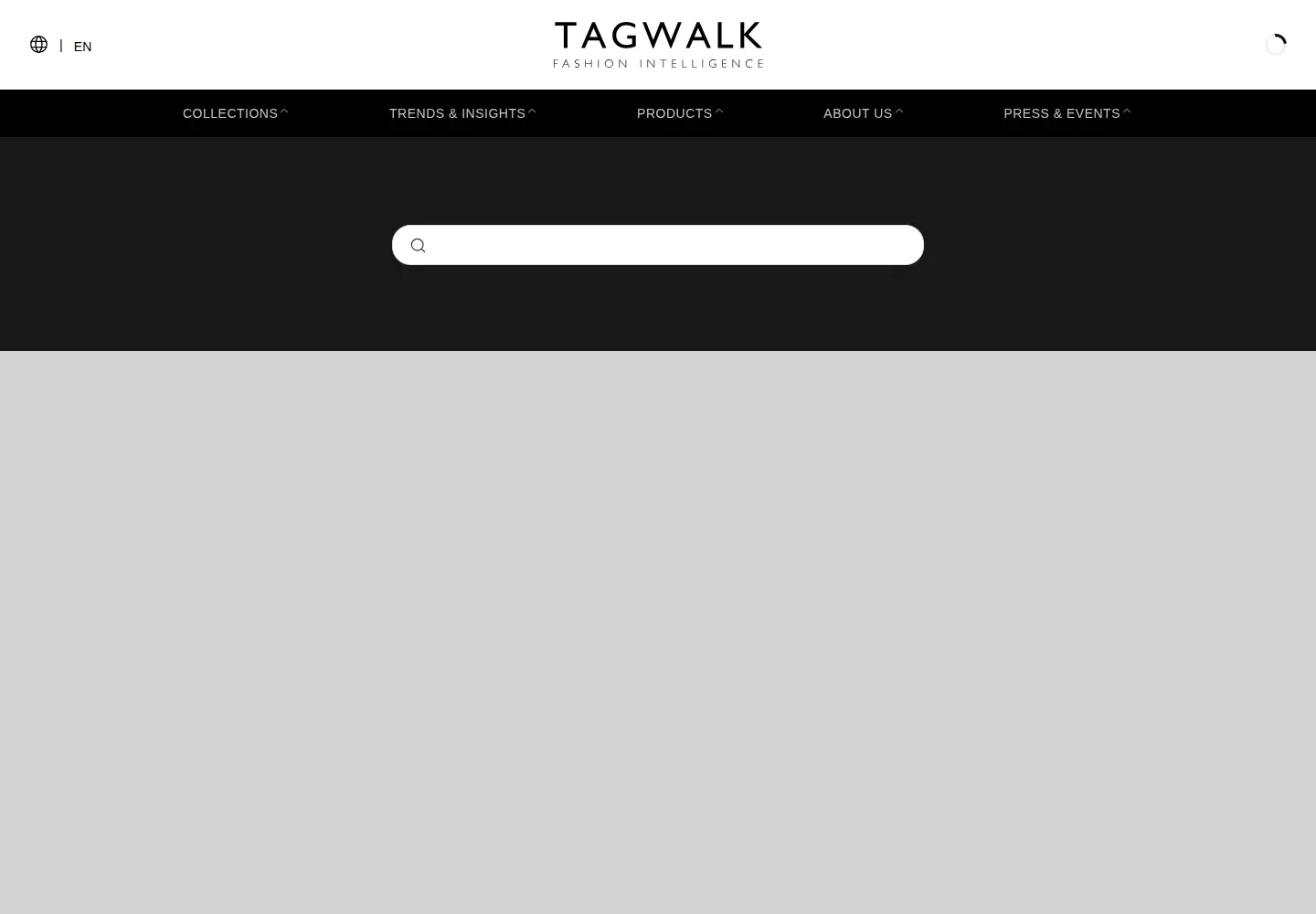 Captured homepage of tag-walk.com in the current scan