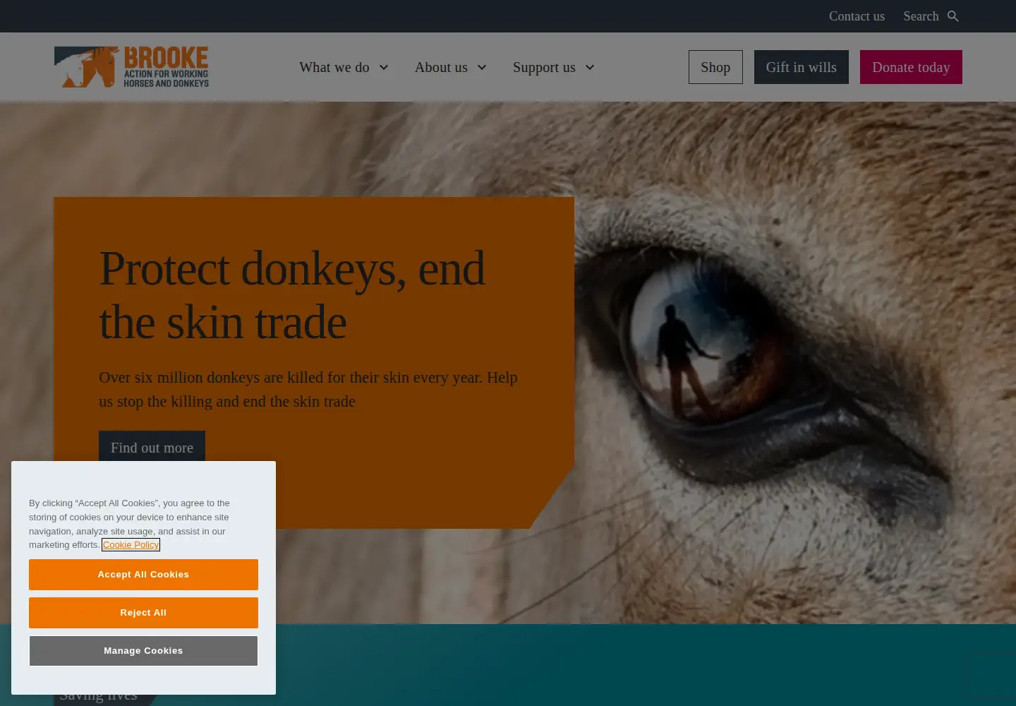 Screenshot of thebrooke.org