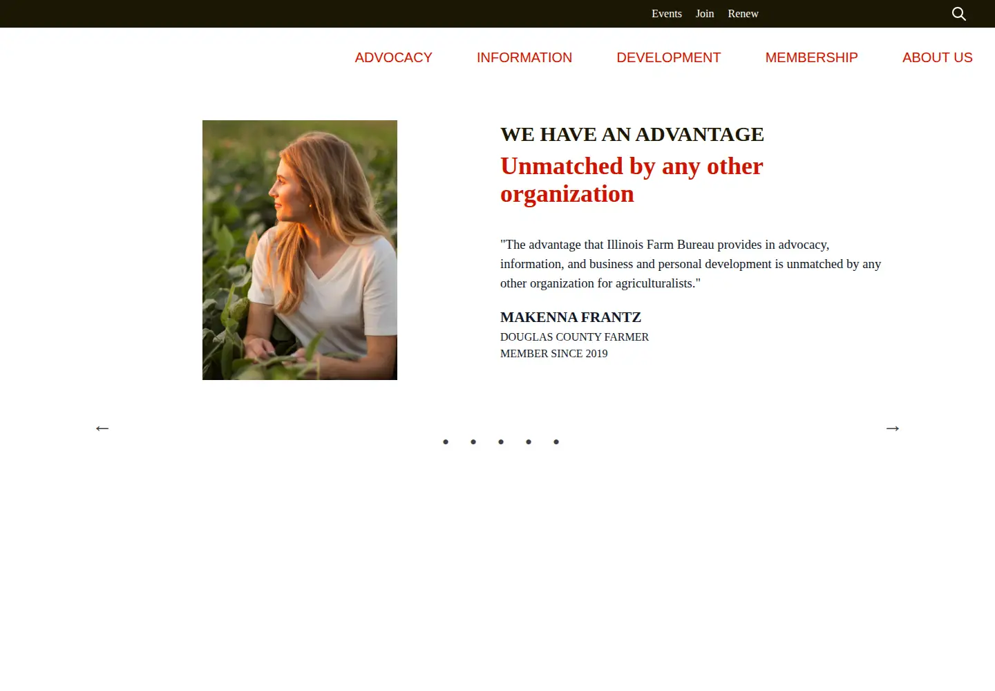 Screenshot of ilfb.org