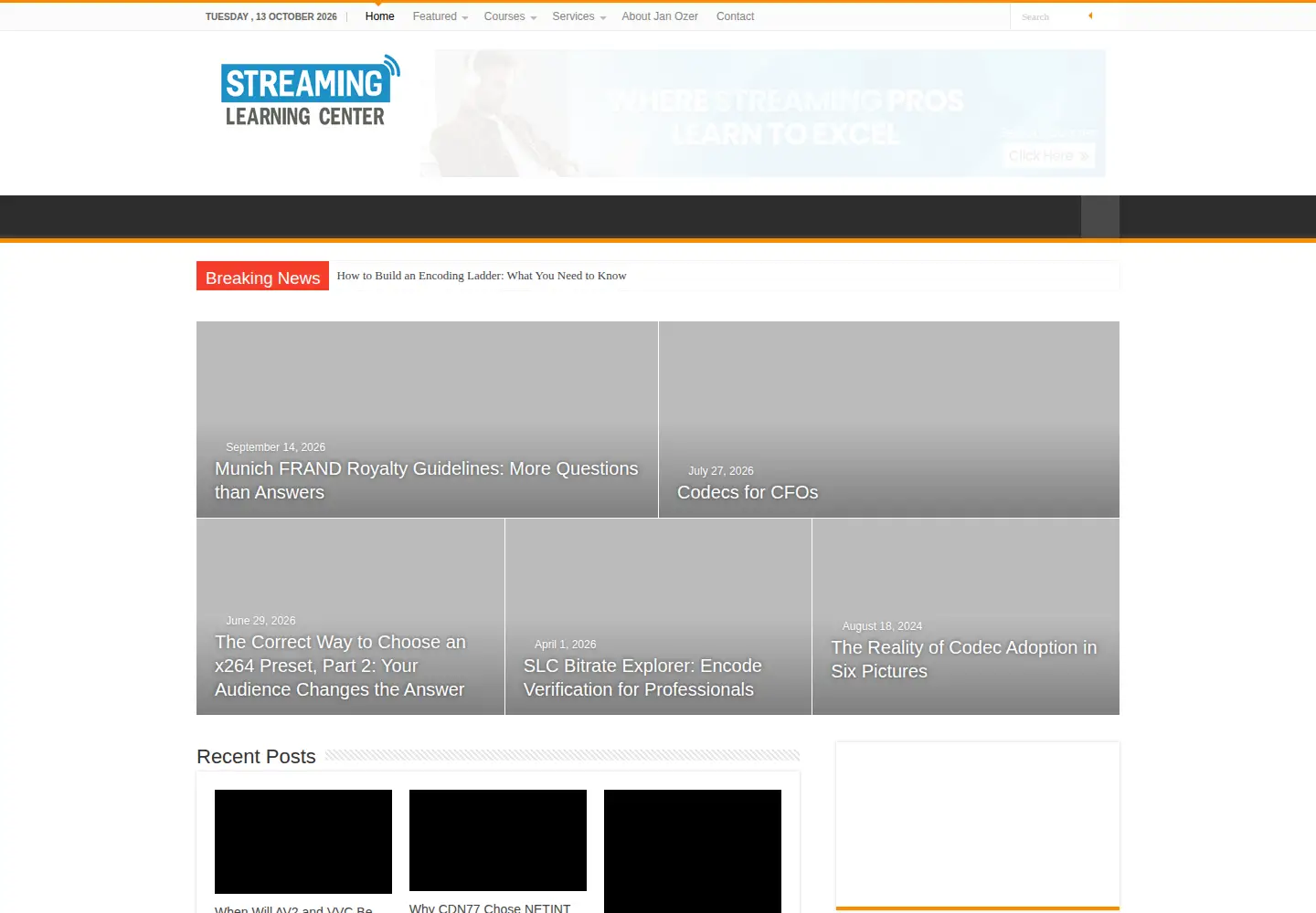 Captured homepage of streaminglearningcenter.com in the current scan