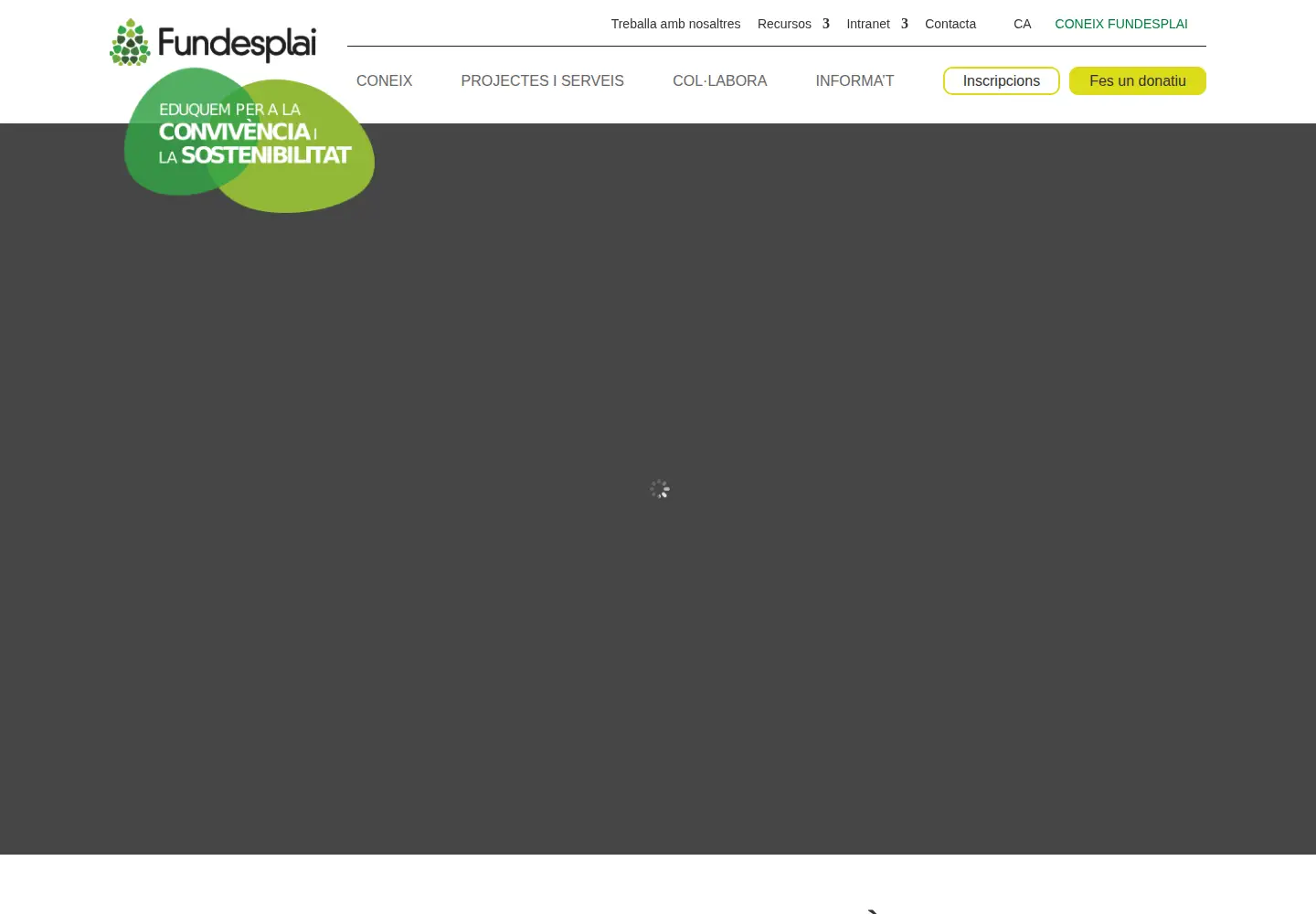 Captured homepage of fundesplai.org in the current scan