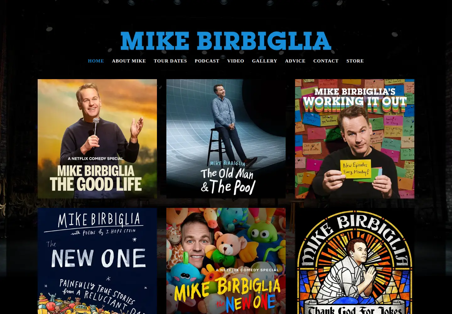 Screenshot of birbigs.com