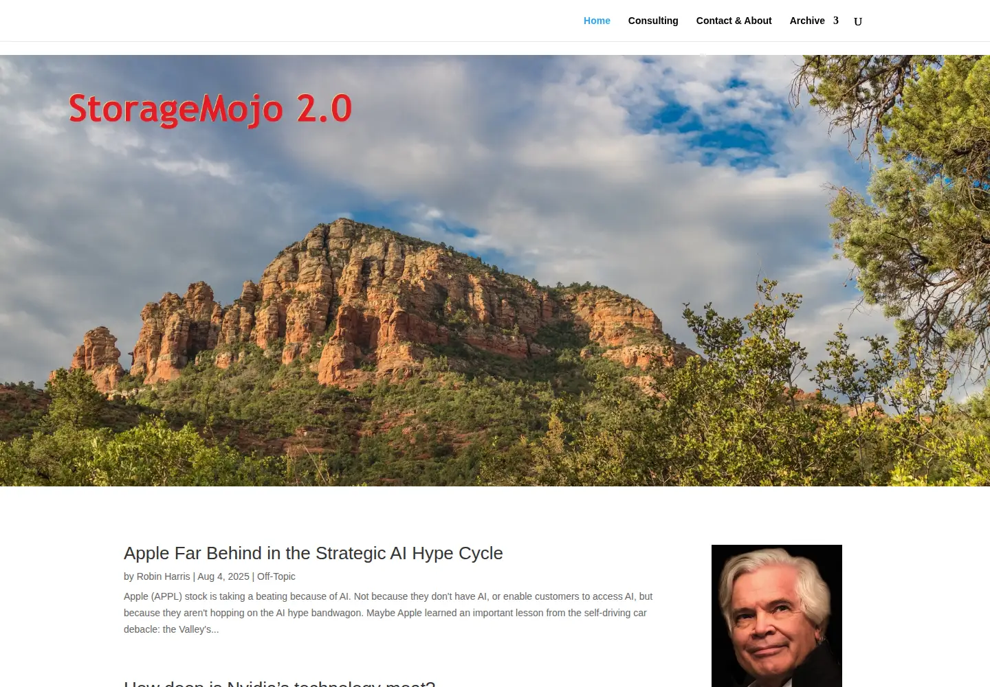 Screenshot of storagemojo.com