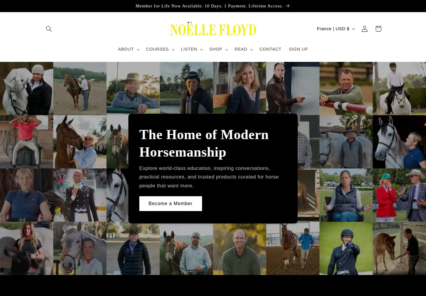 Screenshot of noellefloyd.com
