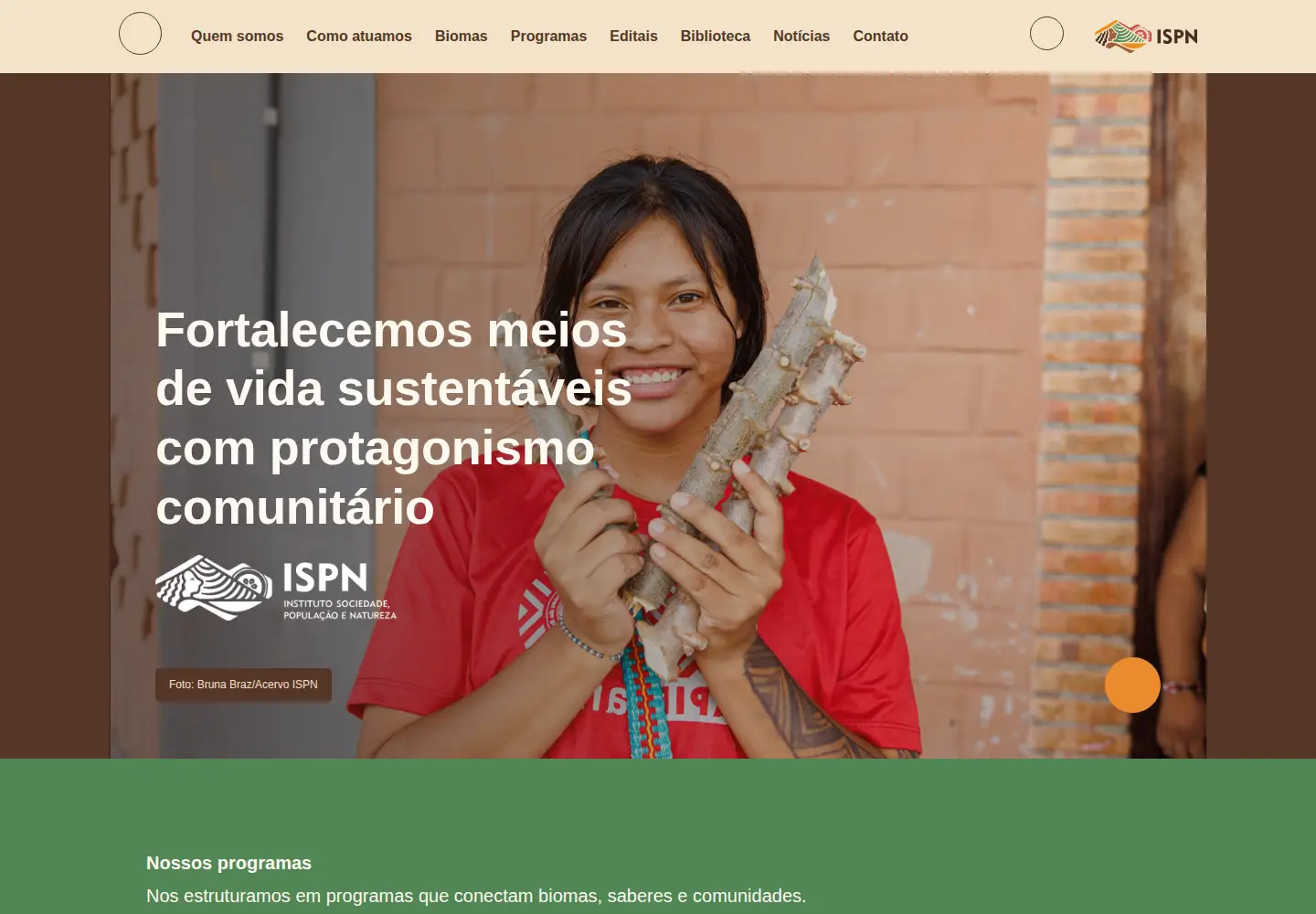 Screenshot of ispn.org.br