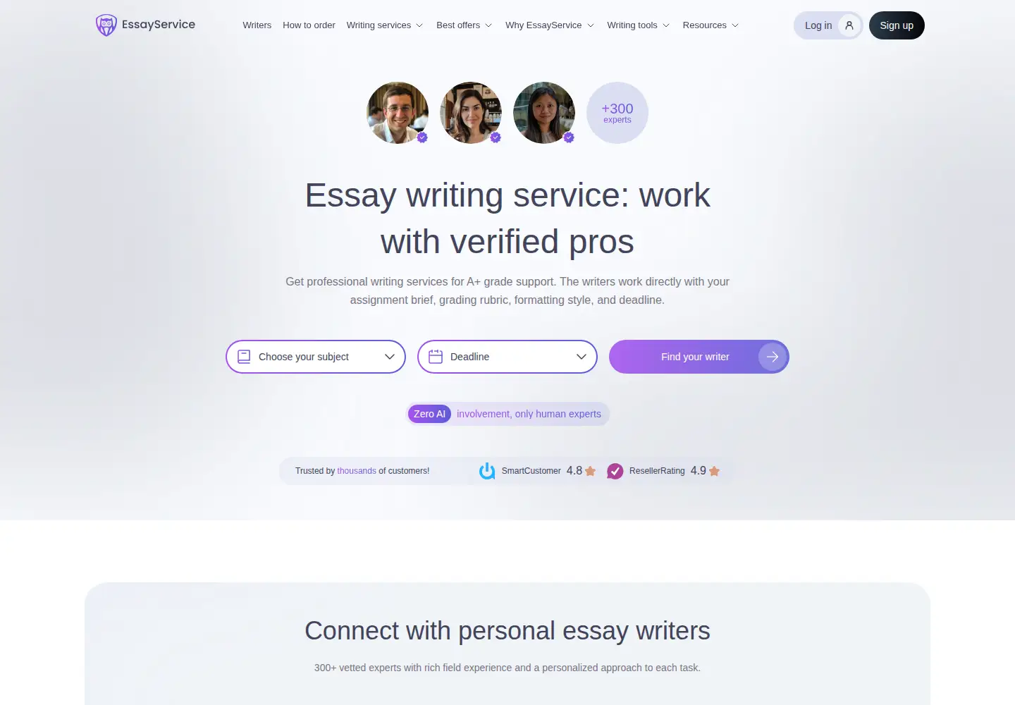 Captured homepage of essayservice.com in the current scan