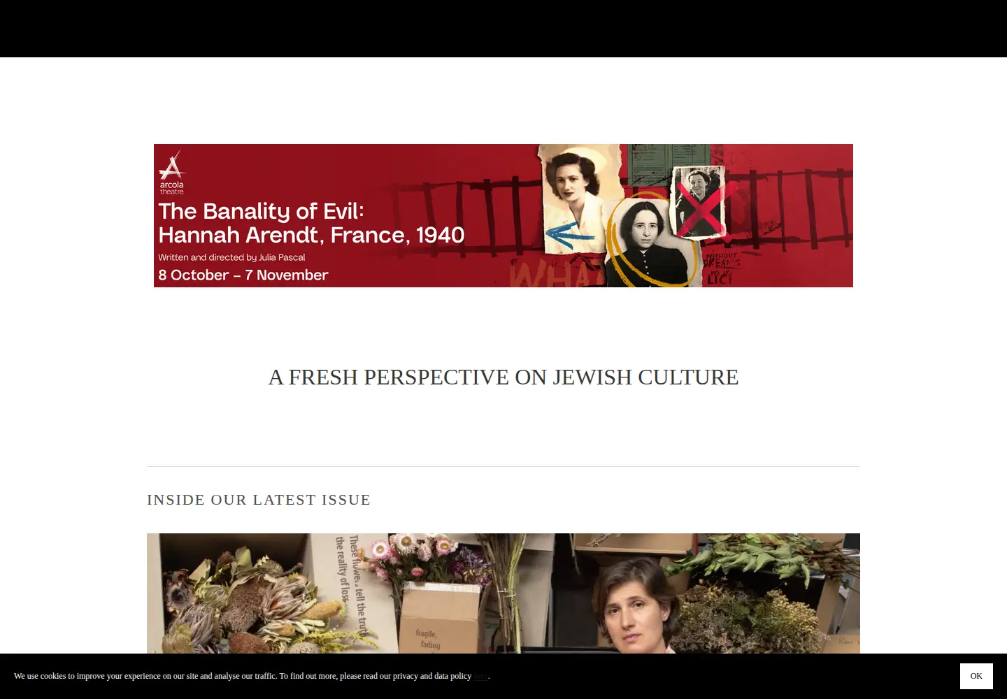 Captured homepage of jewishrenaissance.org.uk in the current scan