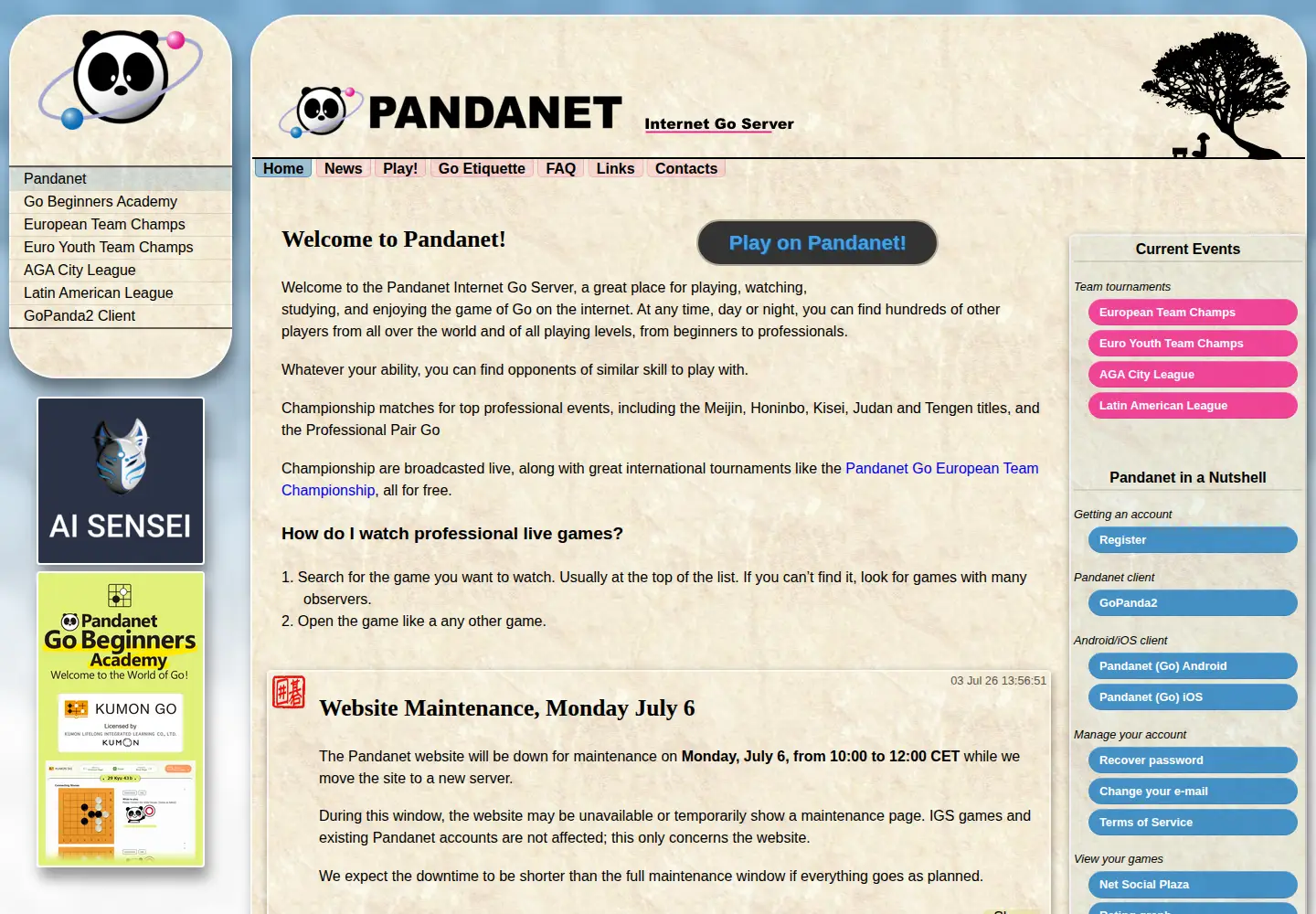 Screenshot of pandanet-igs.com