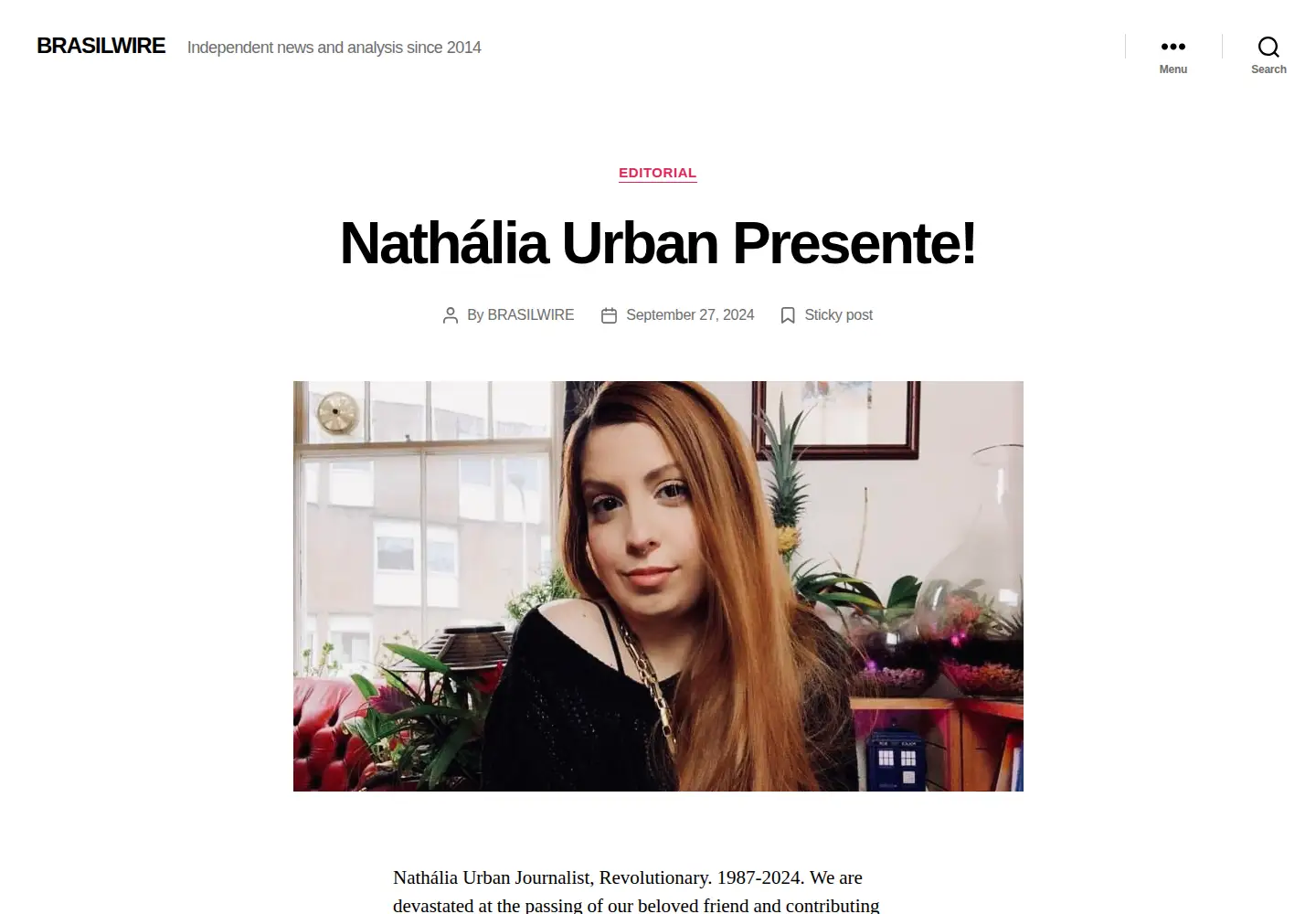Screenshot of brasilwire.com