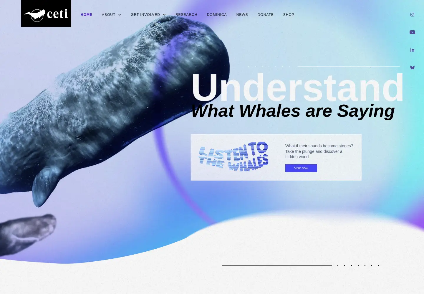 Captured homepage of projectceti.org in the current scan