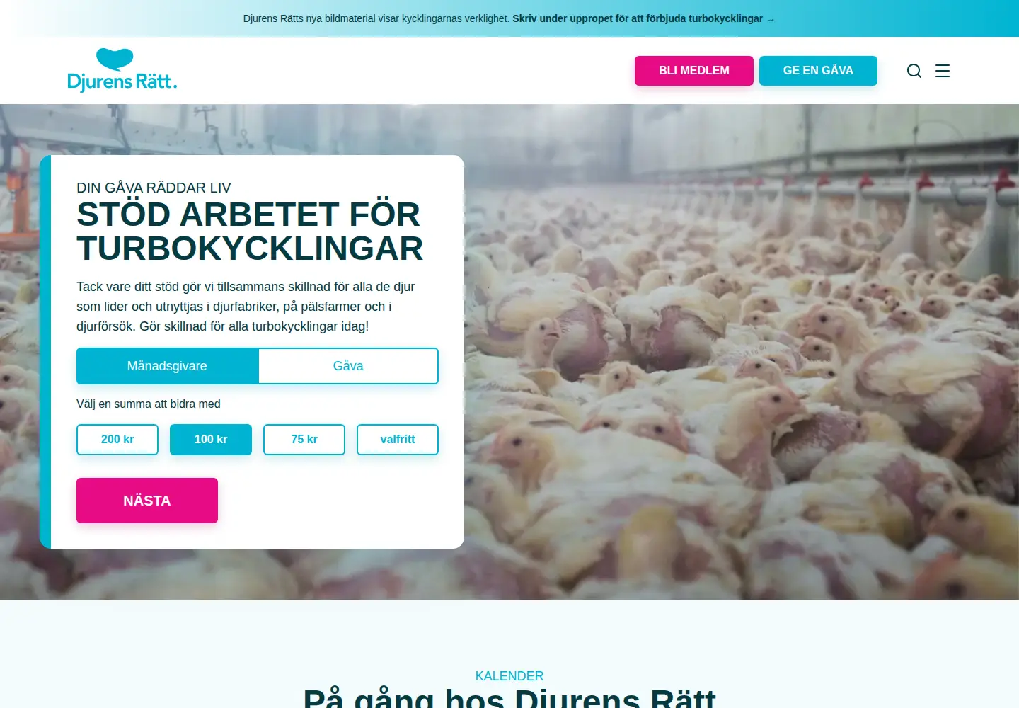 Screenshot of djurensratt.se