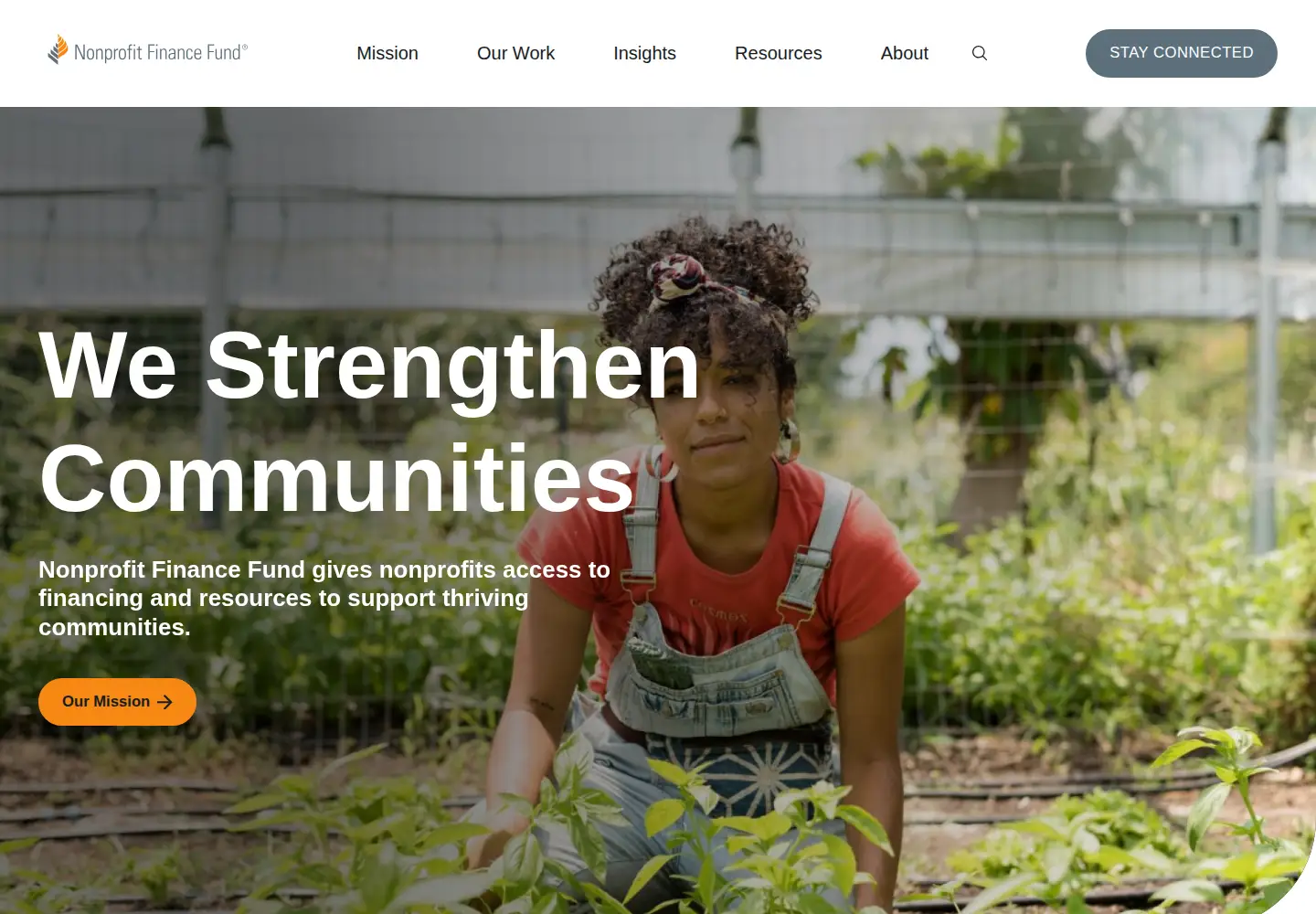 Captured homepage of nff.org in the current scan