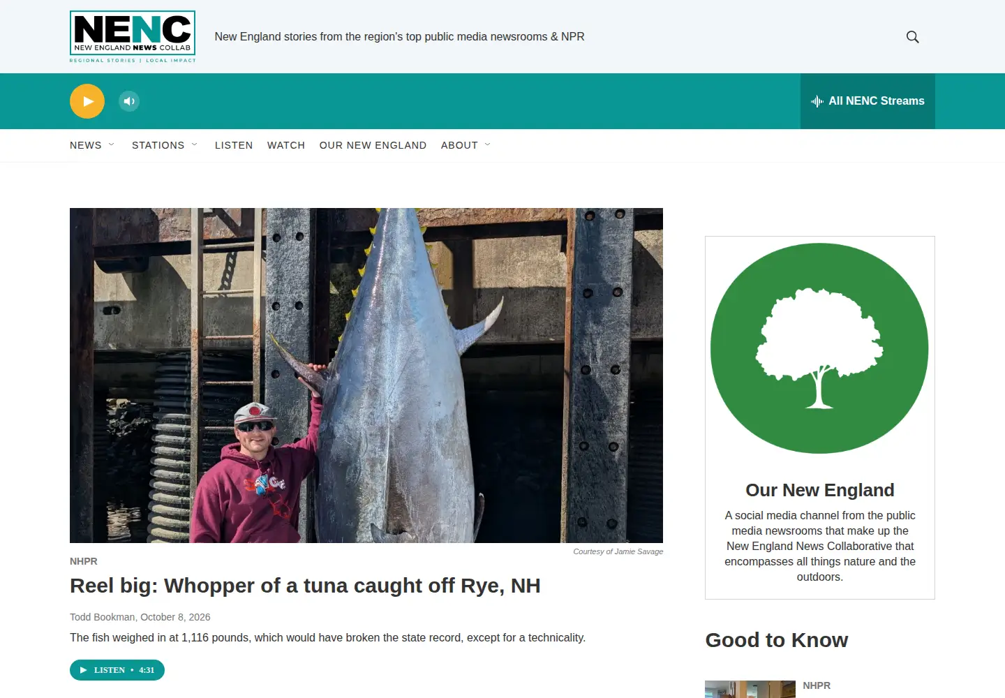 Screenshot of nenc.news