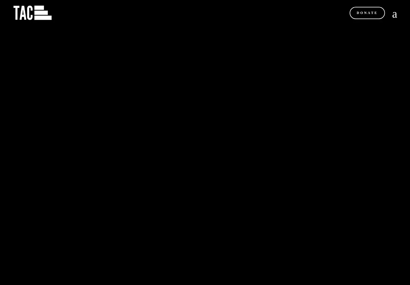 Captured homepage of theallycoalition.org in the current scan