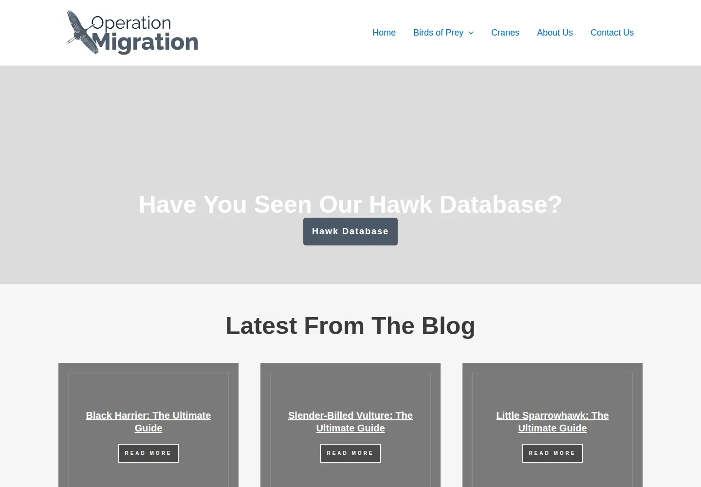 Captured homepage of operationmigration.org in the current scan