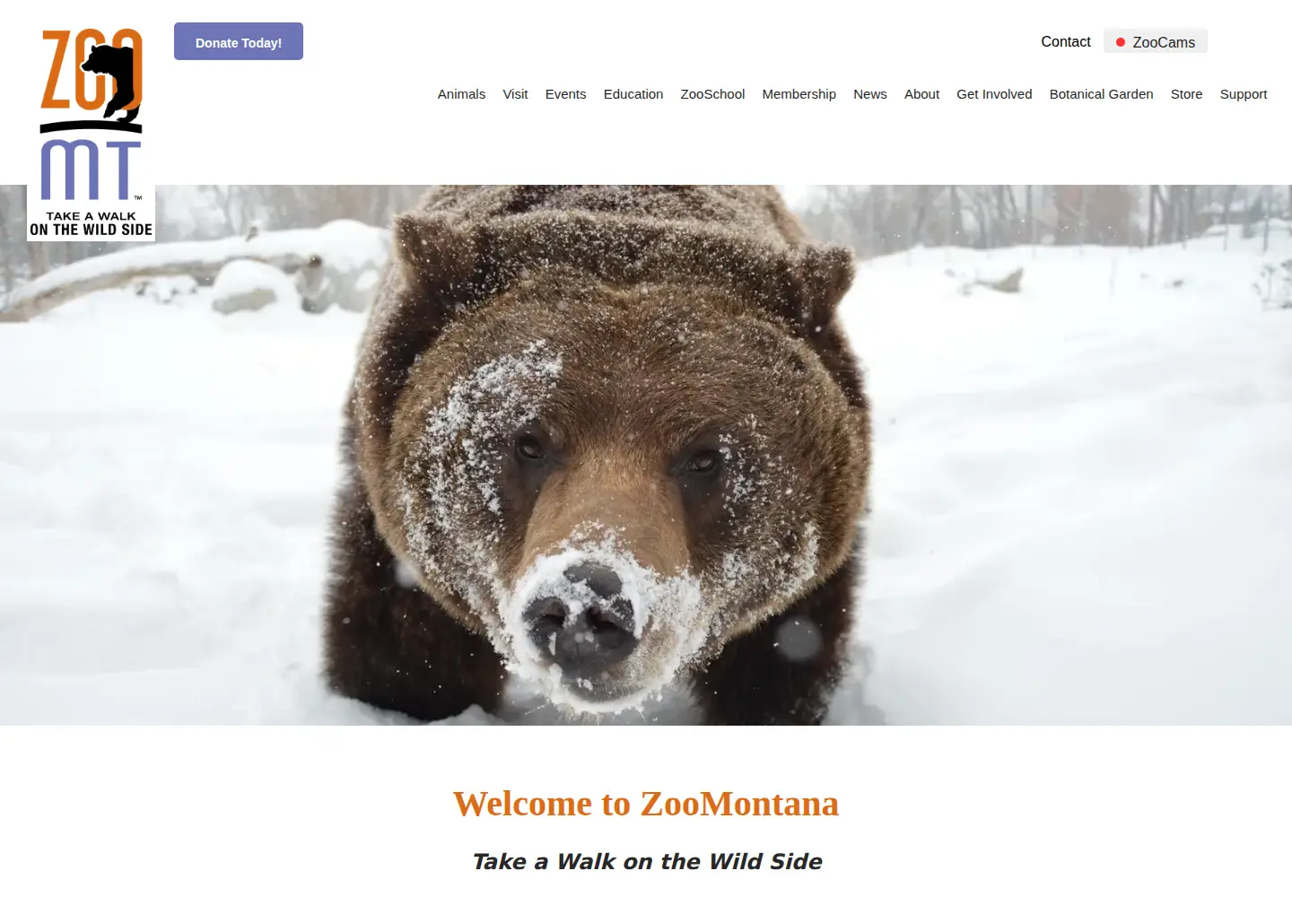 Screenshot of zoomontana.org