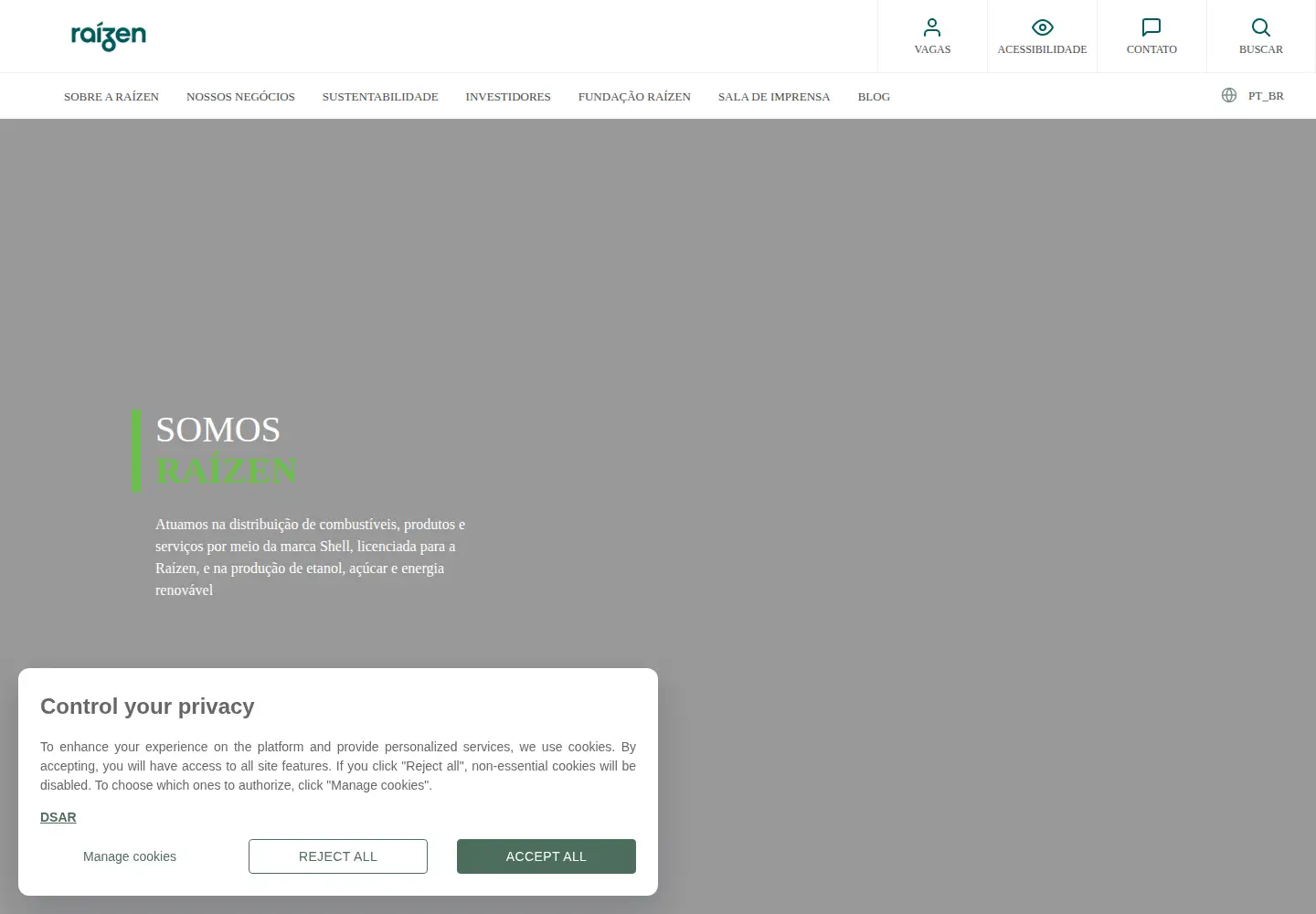 Screenshot of raizen.com.br
