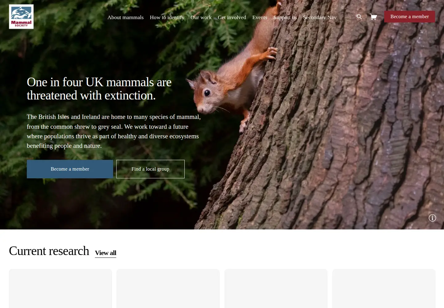 Screenshot of mammal.org.uk