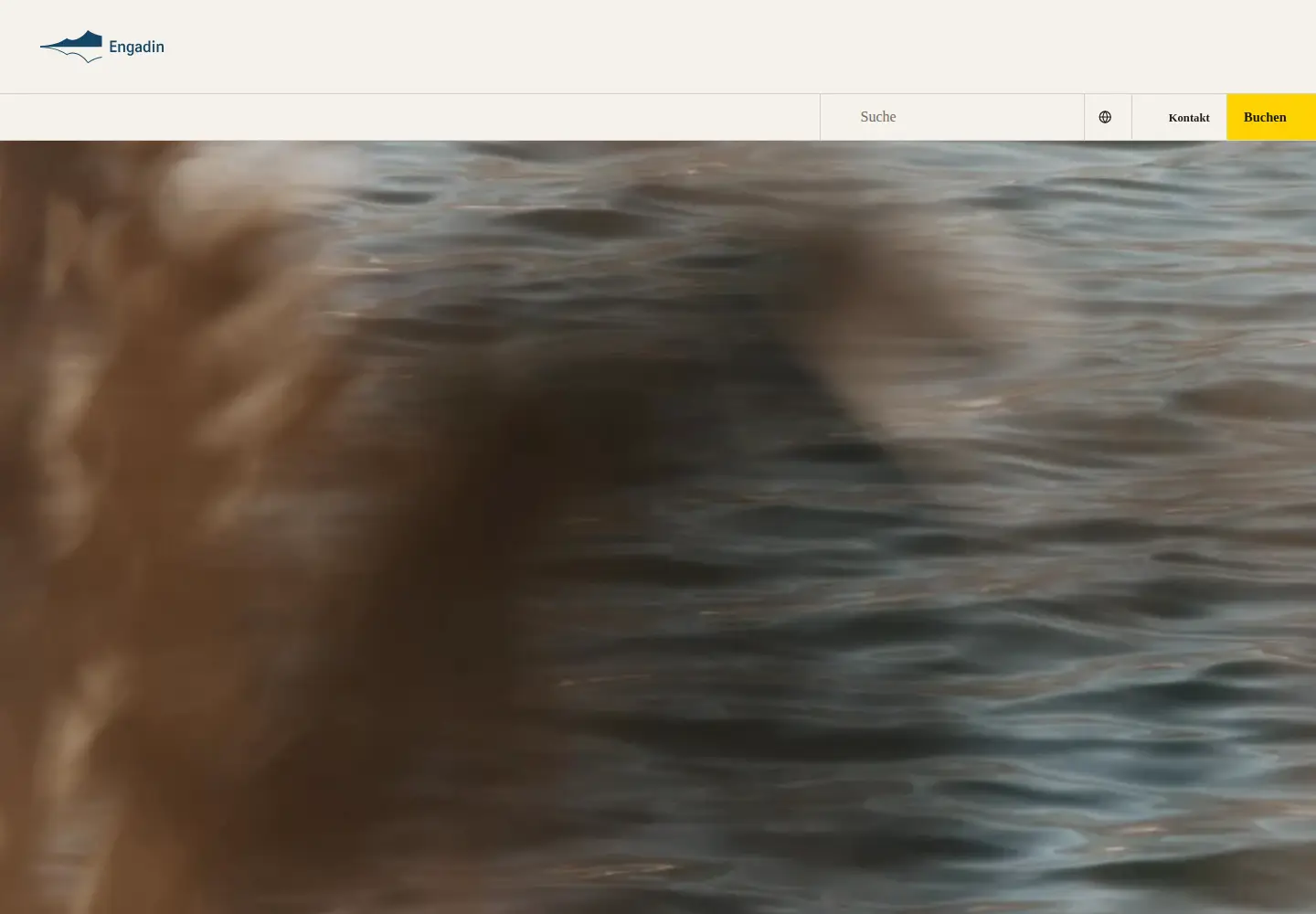 Captured homepage of engadin.ch in the current scan