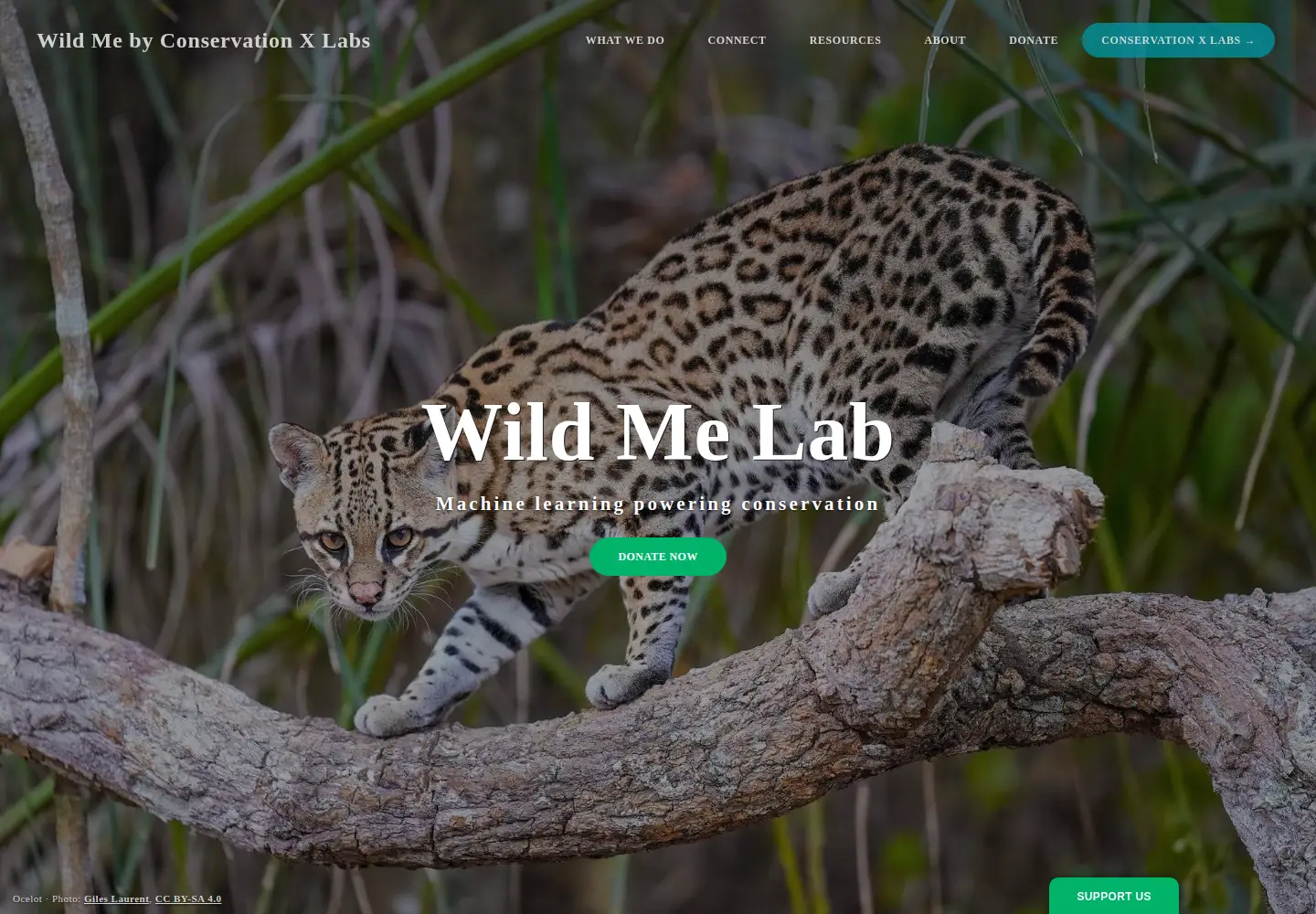 Screenshot of wildme.org