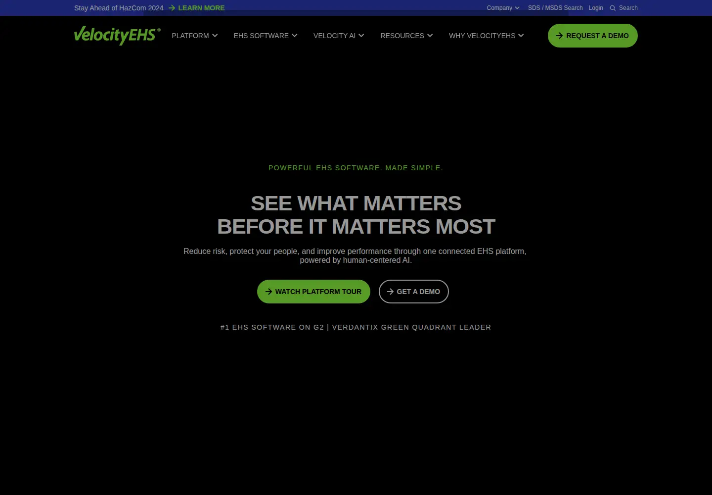 Captured homepage of ehs.com in the current scan
