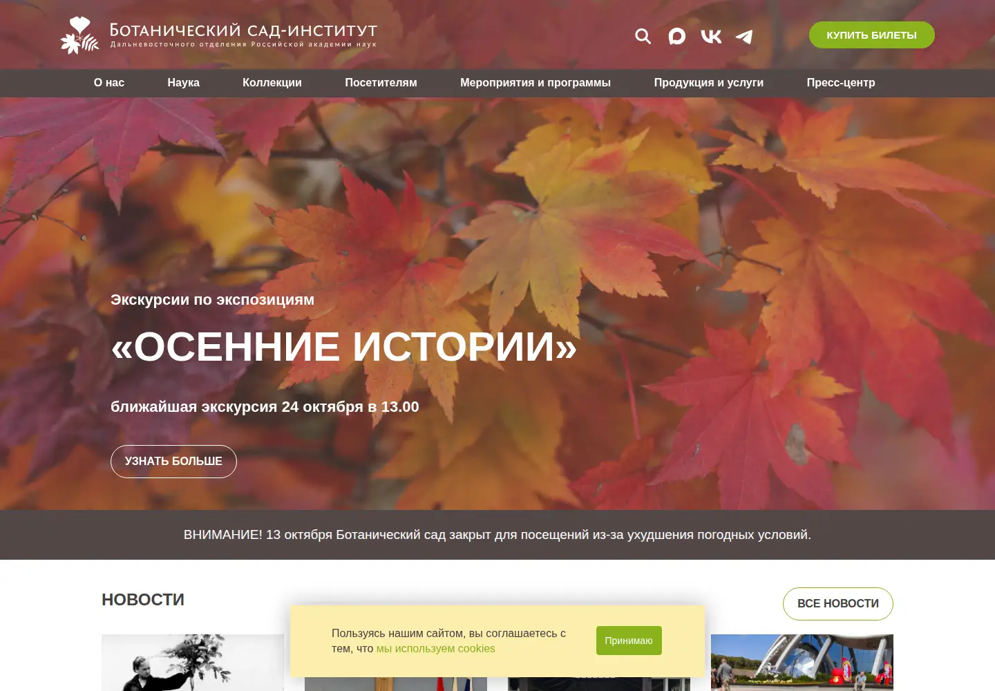 Captured homepage of botsad.ru in the current scan