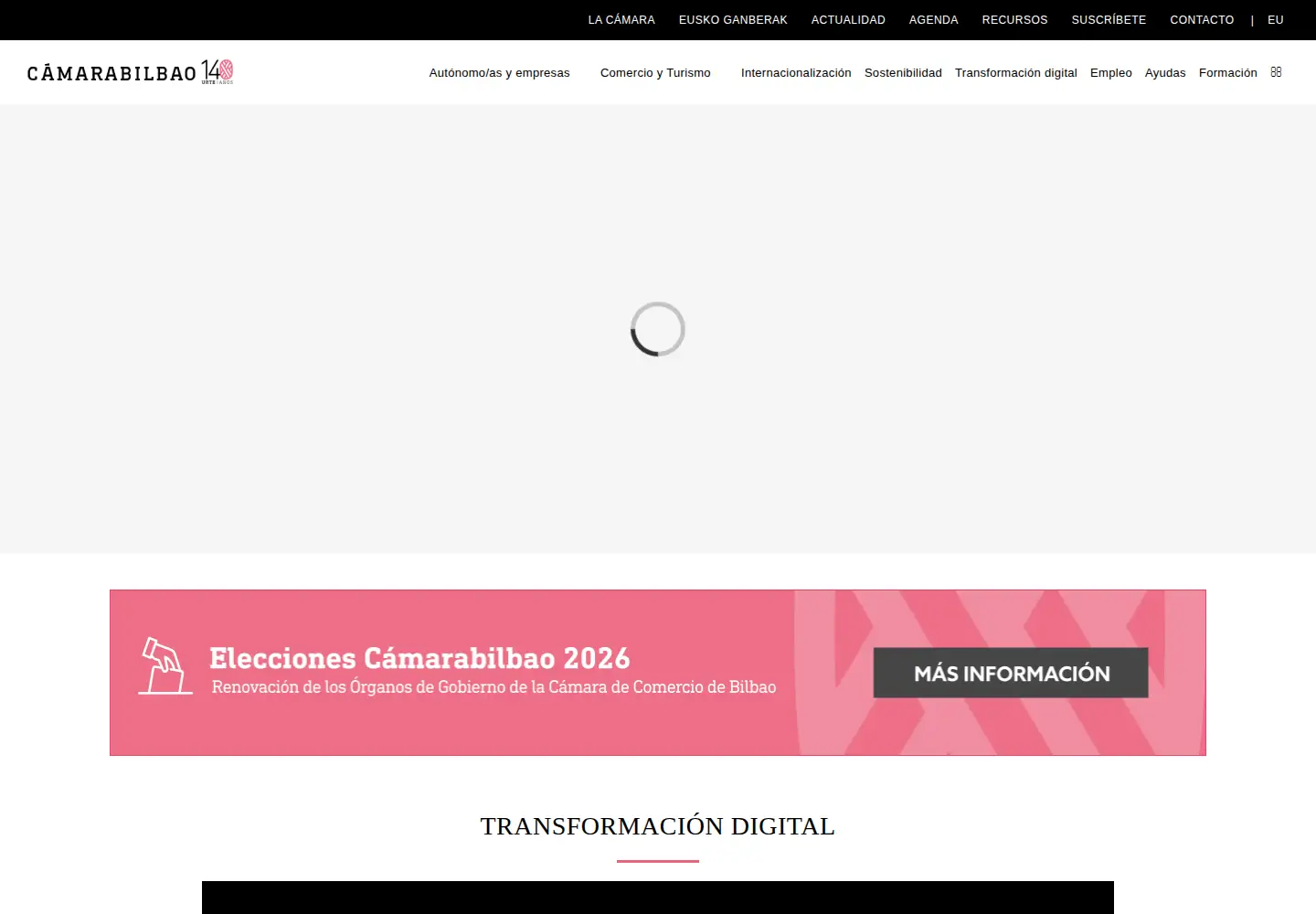 Captured homepage of camarabilbao.com in the current scan