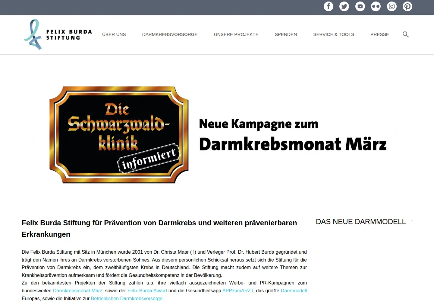 Screenshot of felix-burda-stiftung.de
