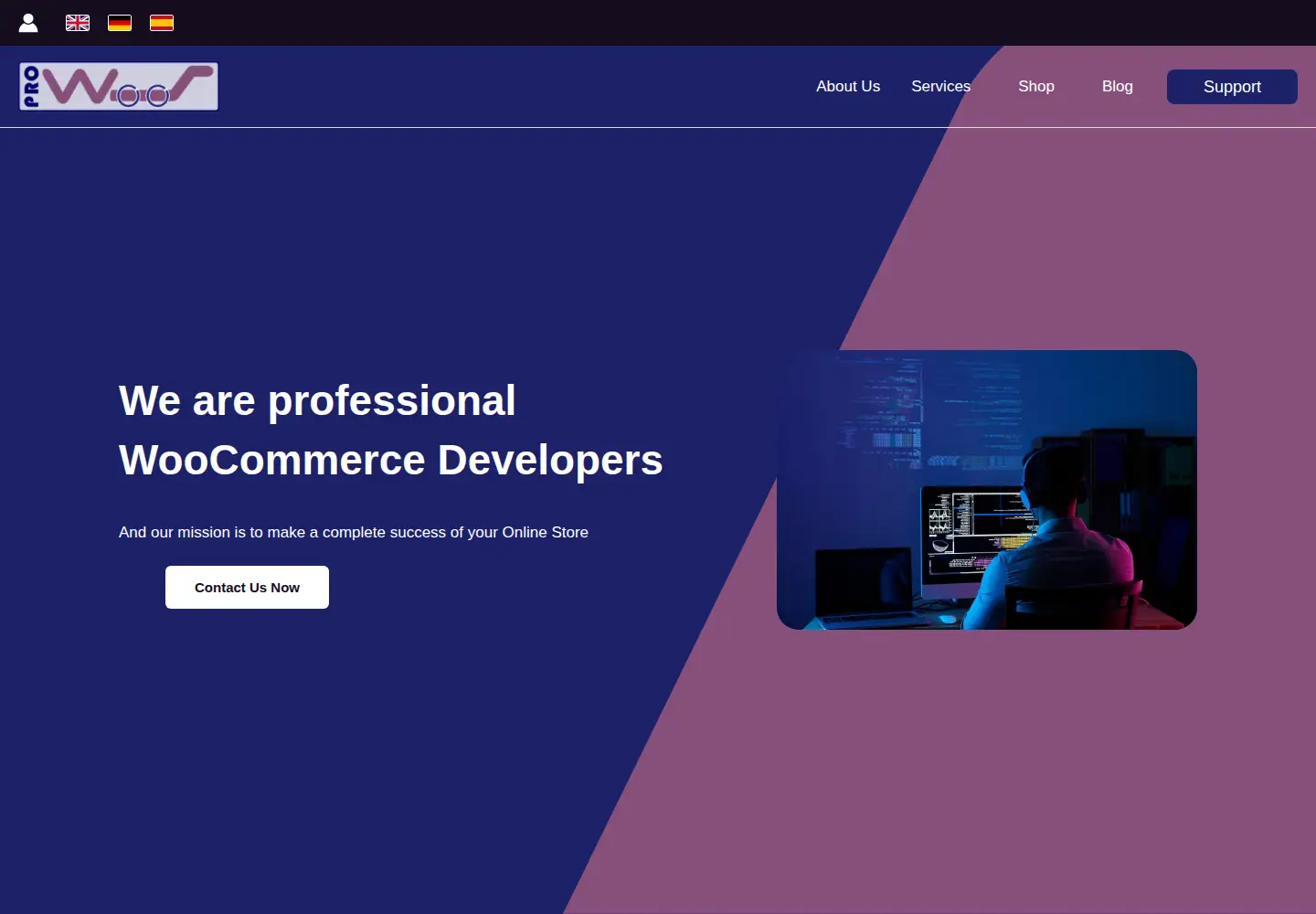 Screenshot of prowoos.com