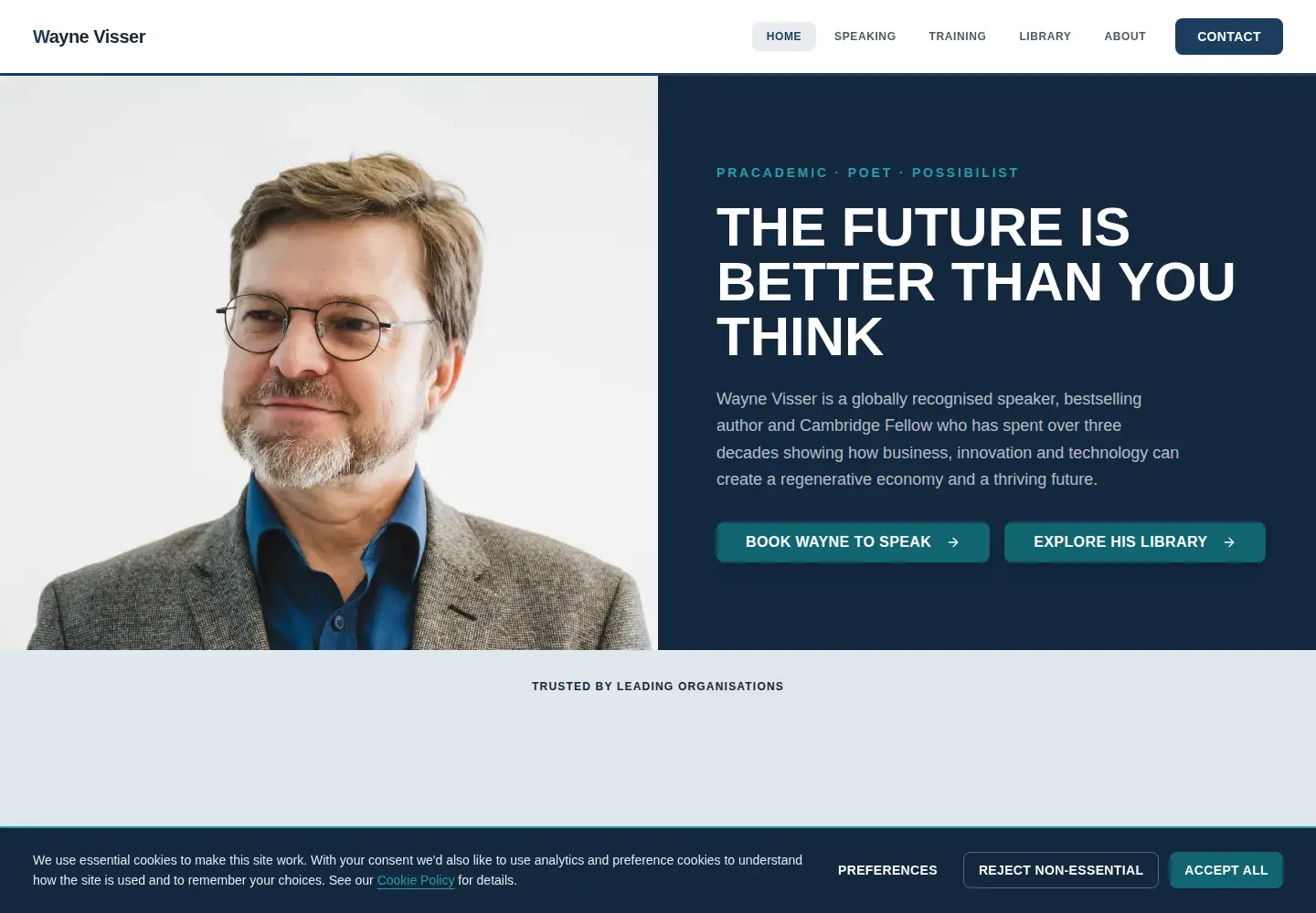 Screenshot of waynevisser.com
