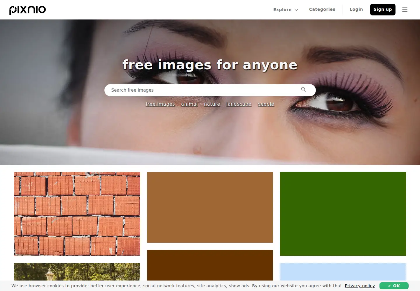 Screenshot of public-domain-image.com