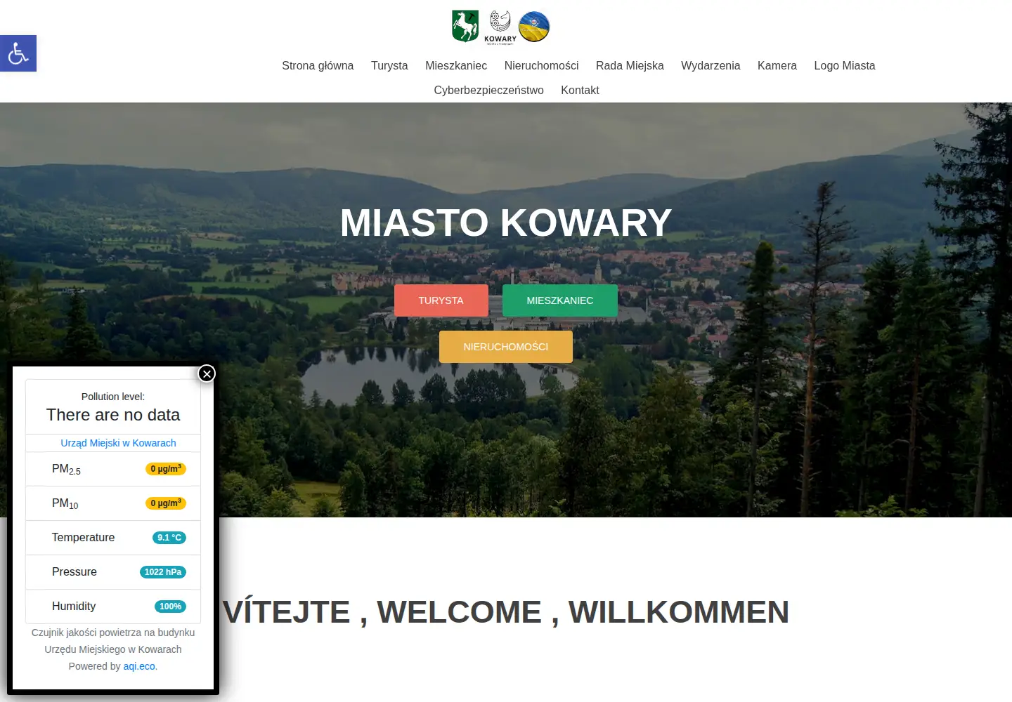 Screenshot of kowary.pl