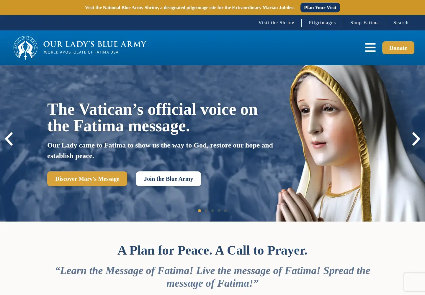 Screenshot of bluearmy.com