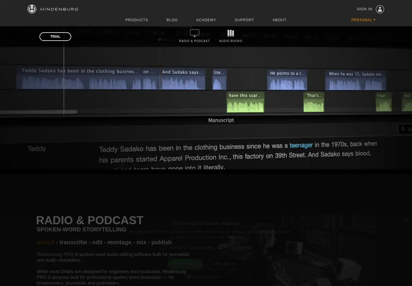 Screenshot of hindenburg.com