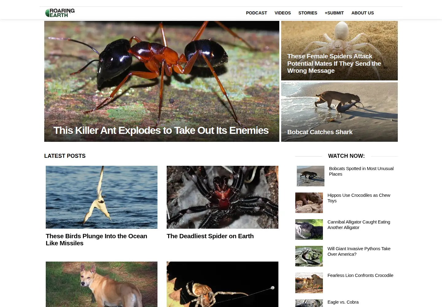 Captured homepage of roaring.earth in the current scan